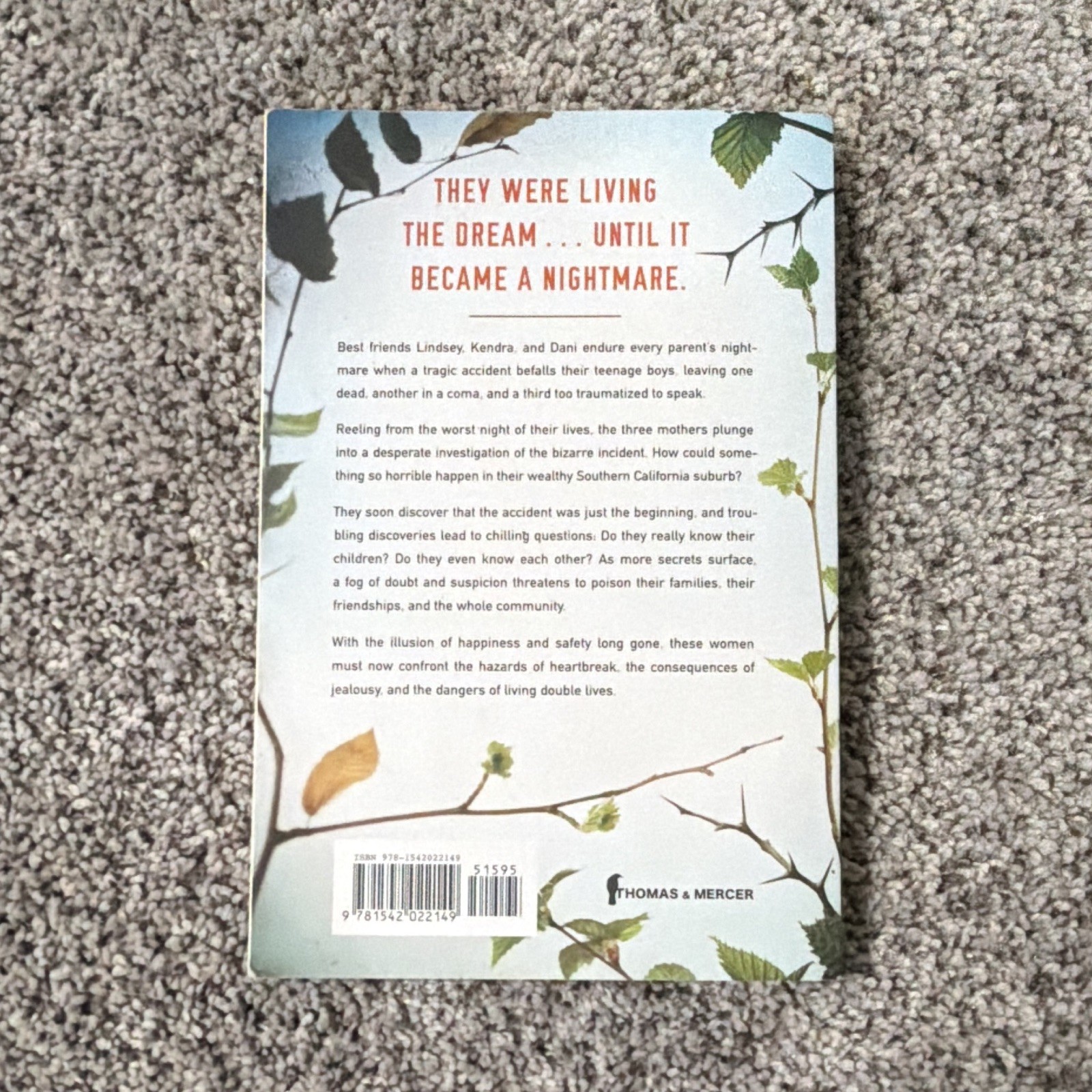 The Best of Friends by Lucinda Berry Paperback Fiction Novel Adult Friendship