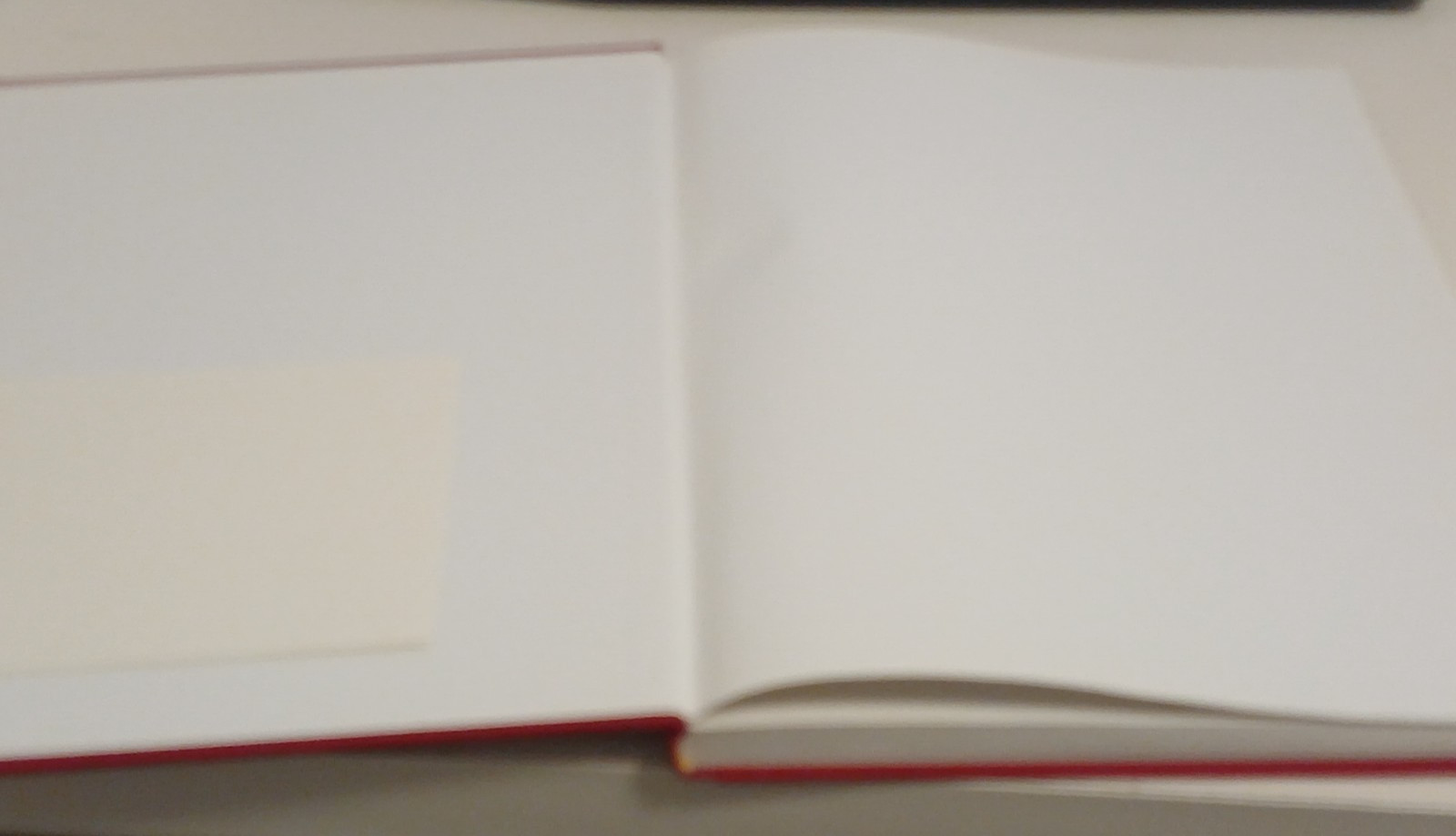 Temple Mount Holy of Holies Asher Kaufman Jerusalem Biblical Archaeology 2004