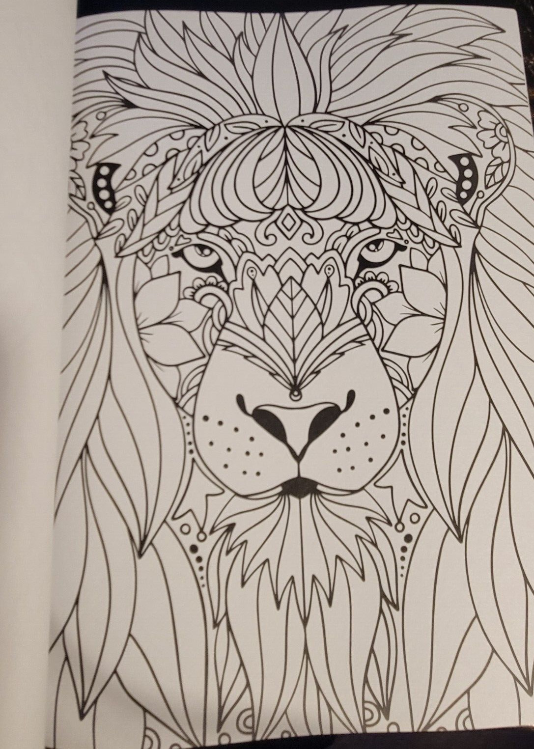 COLORS OF THE WILD Vol. 20 Adult Coloring Book With 47 Prints Ready To Frame!