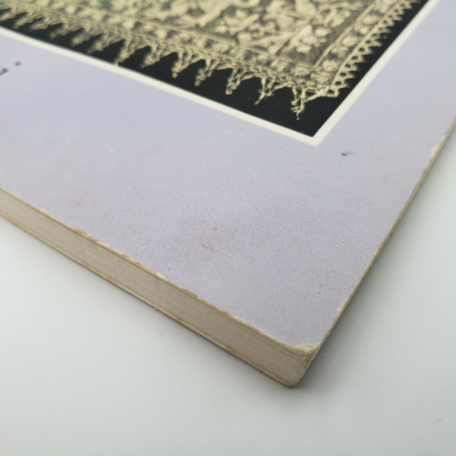 Pictorial Archive Ser.: Italian Lace Designs : 243 Classic Examples by E. Ricci