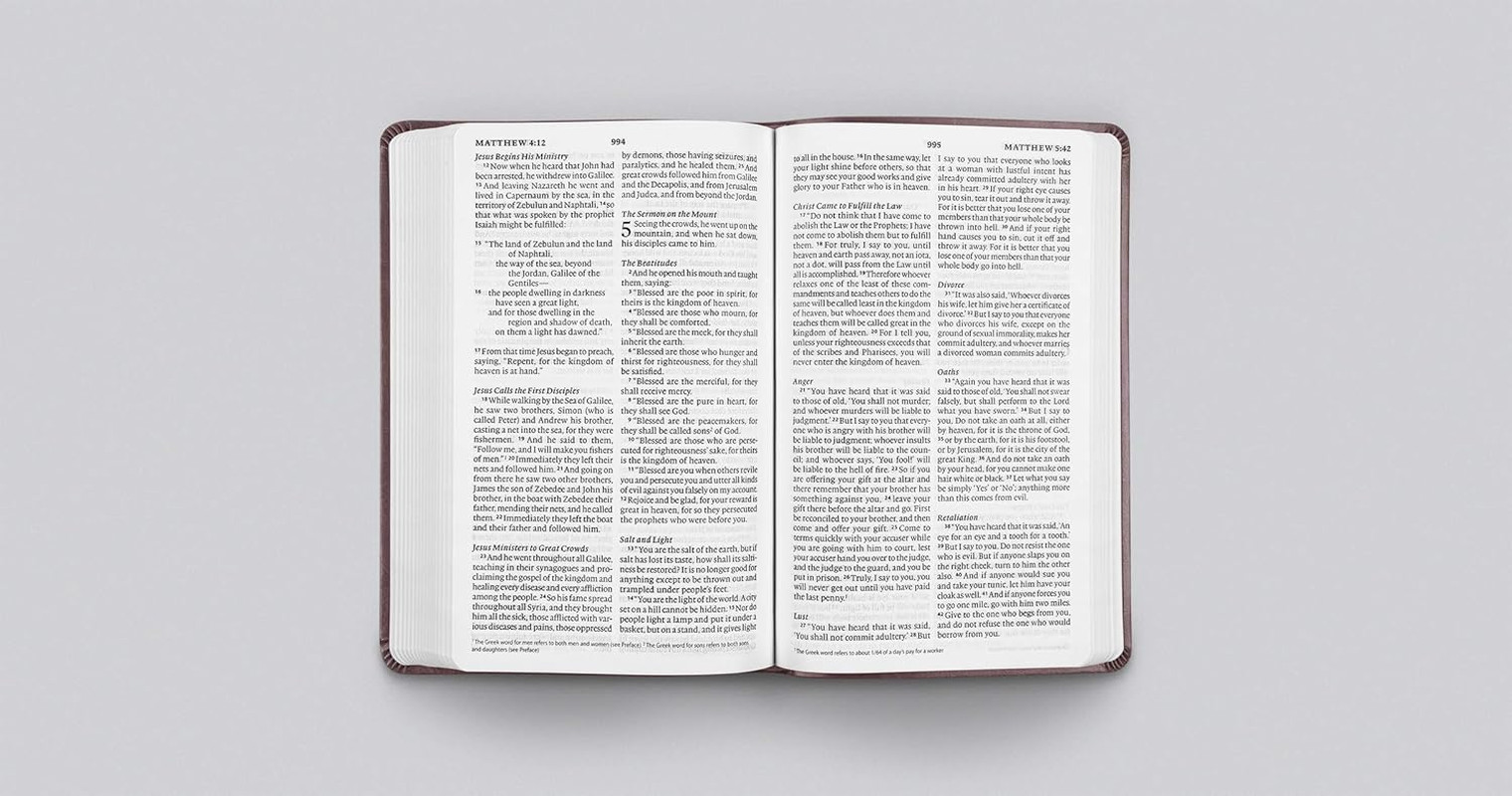ESV Large Print Value Thinline Bible (Trutone, Mahogany, Border Design)