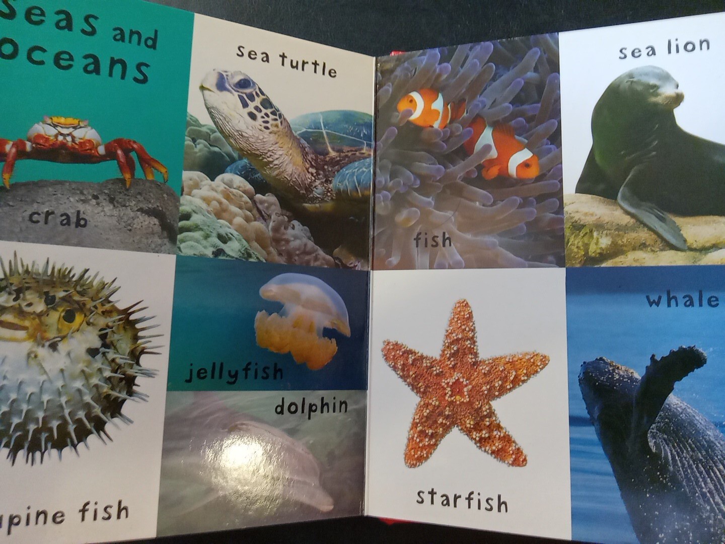 First 100 Animals Board book Pre-owned Inside Spine Damage