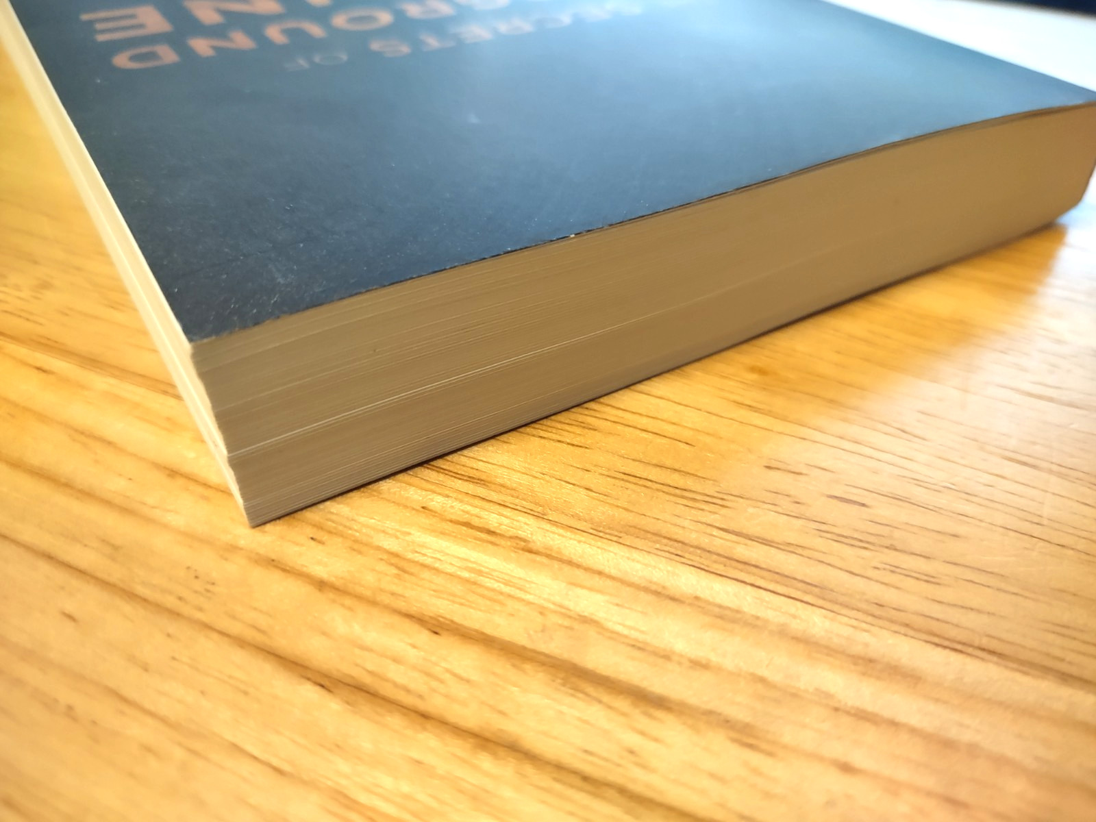 The Secrets of Underground Medicine by Dr. Richard Gerhauser, Trade PB 2018