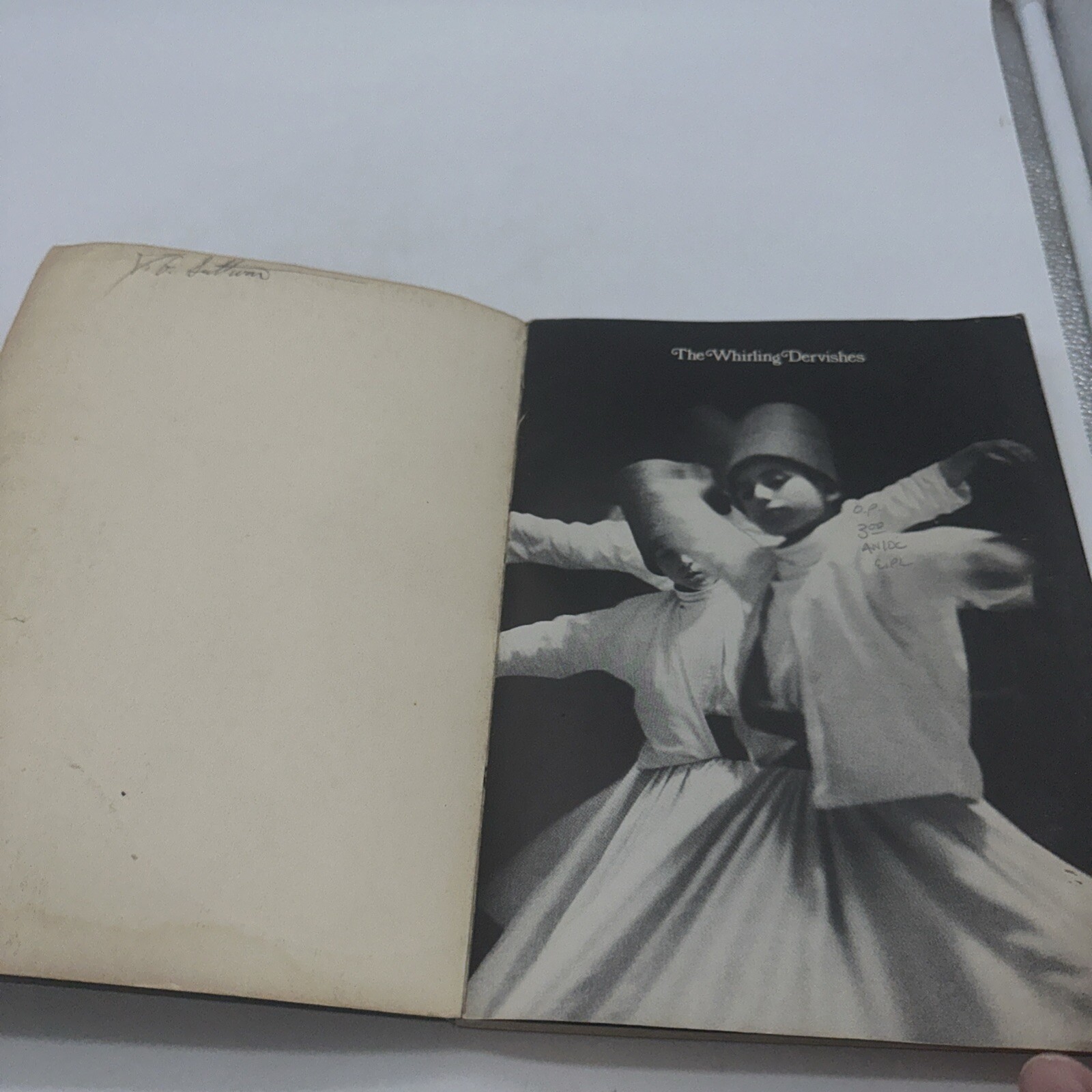 THE WHIRLING DERVISHES FIRST EDTION 1975 IRA FRIEDLANDER SOFT COVER GOOD