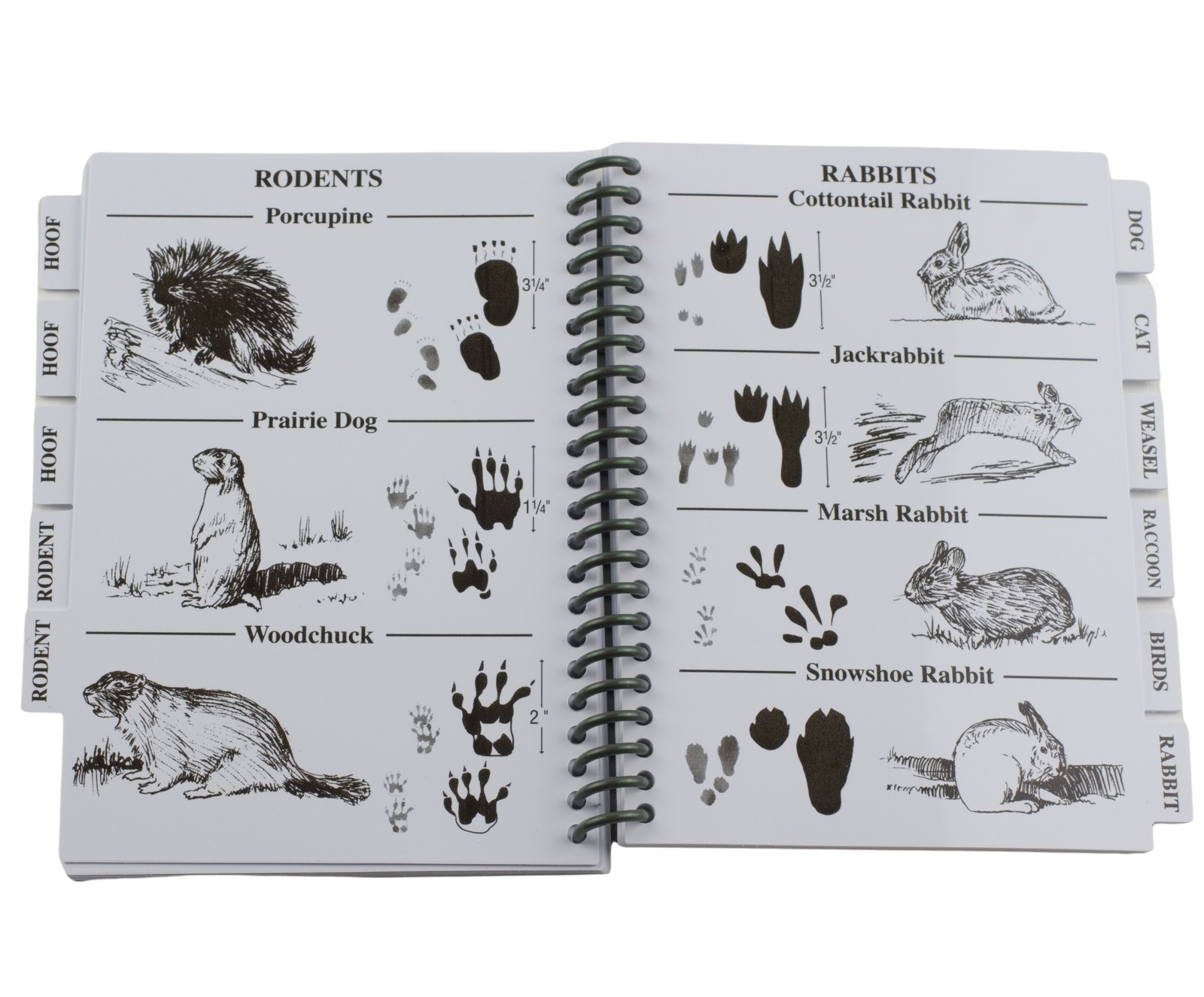 Pocket Guide to Animals Tracks Birds Hiking Hunting Birding Margin Ruler