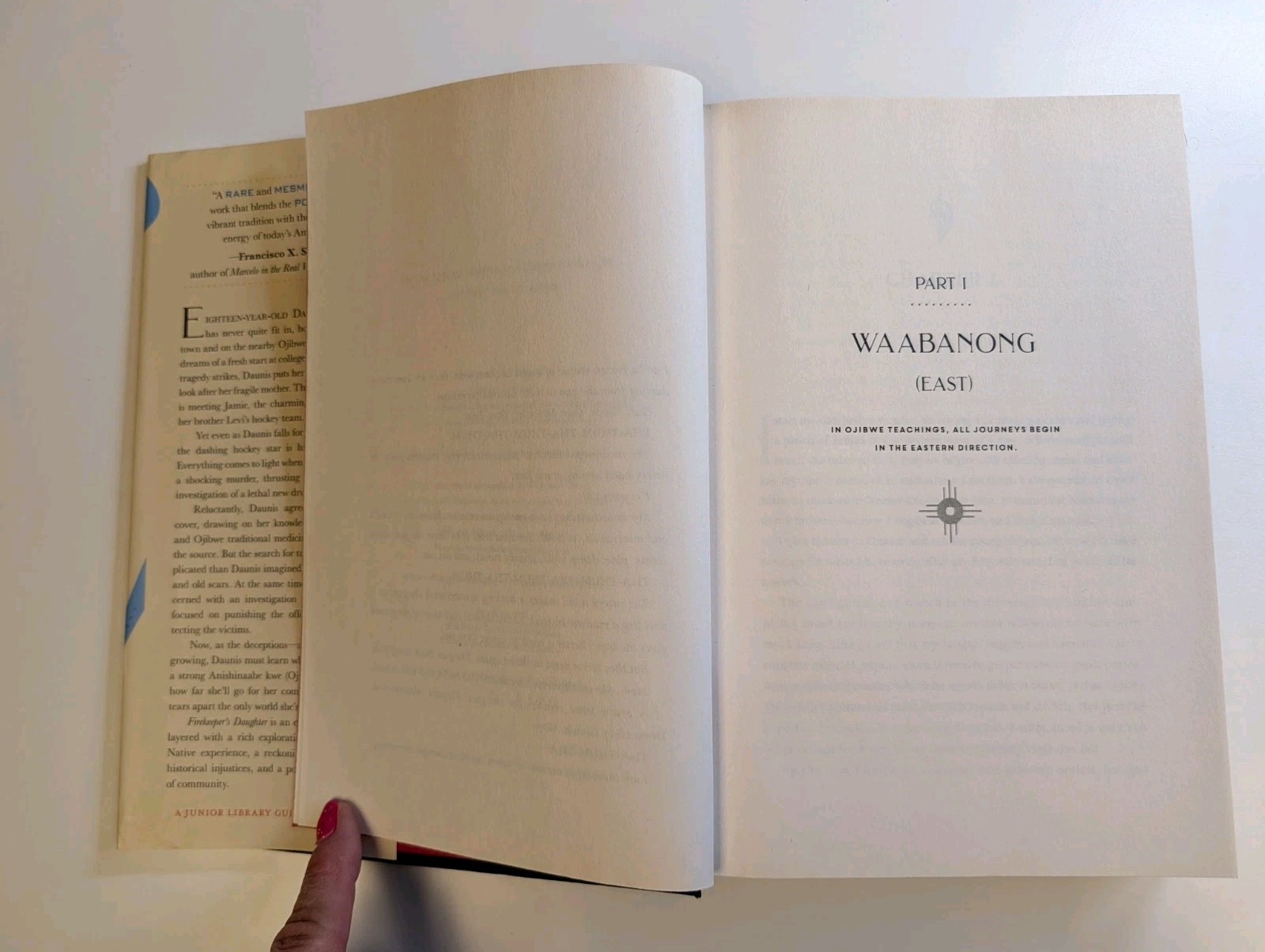 Firekeeper’s Daughter by Angeline Boulley, Hardcover, Henry Holt, 2021, America…