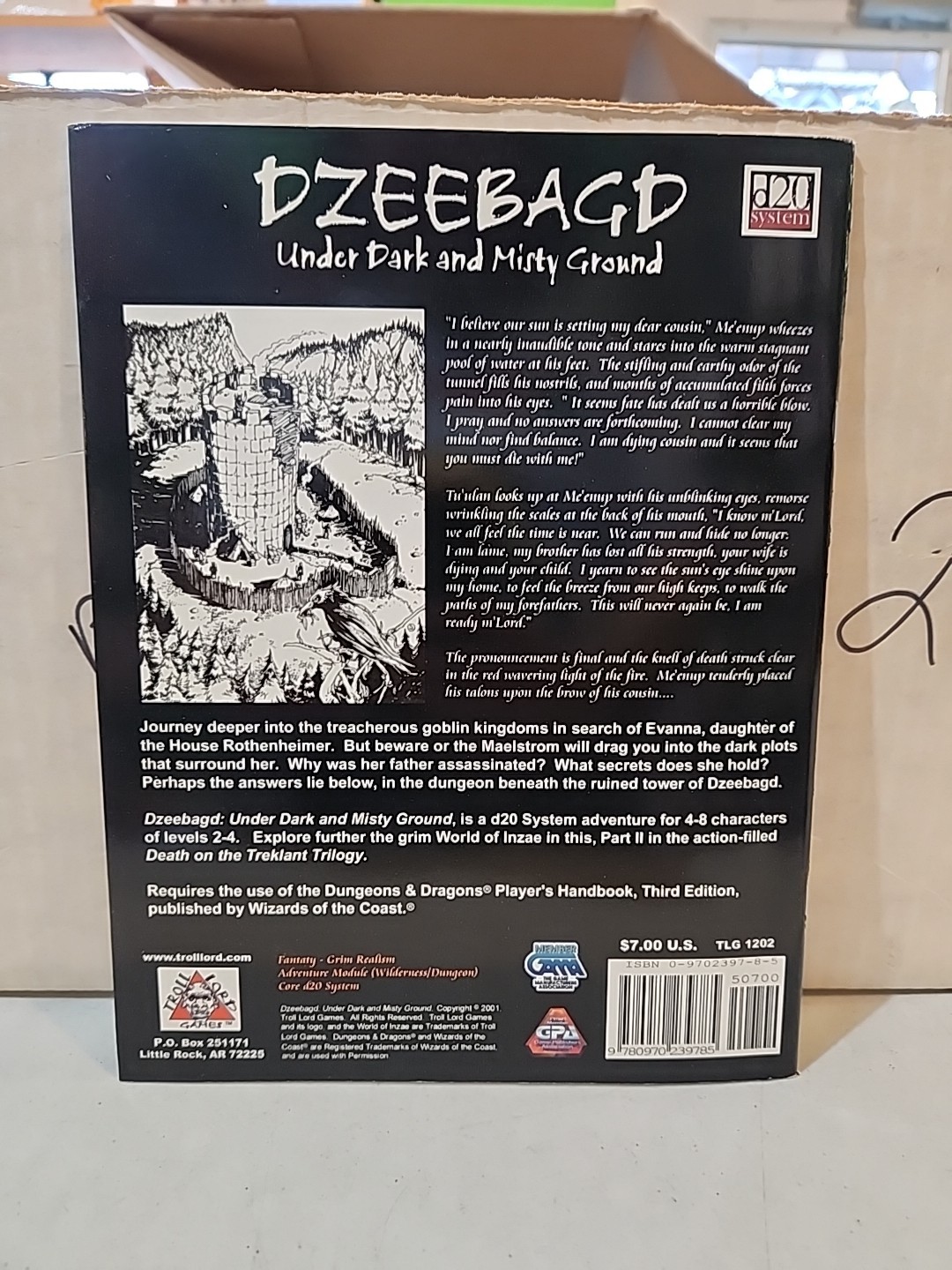 Dzeebagd : Under Dark and Misty Ground by Davis Chenault (Book, Other)