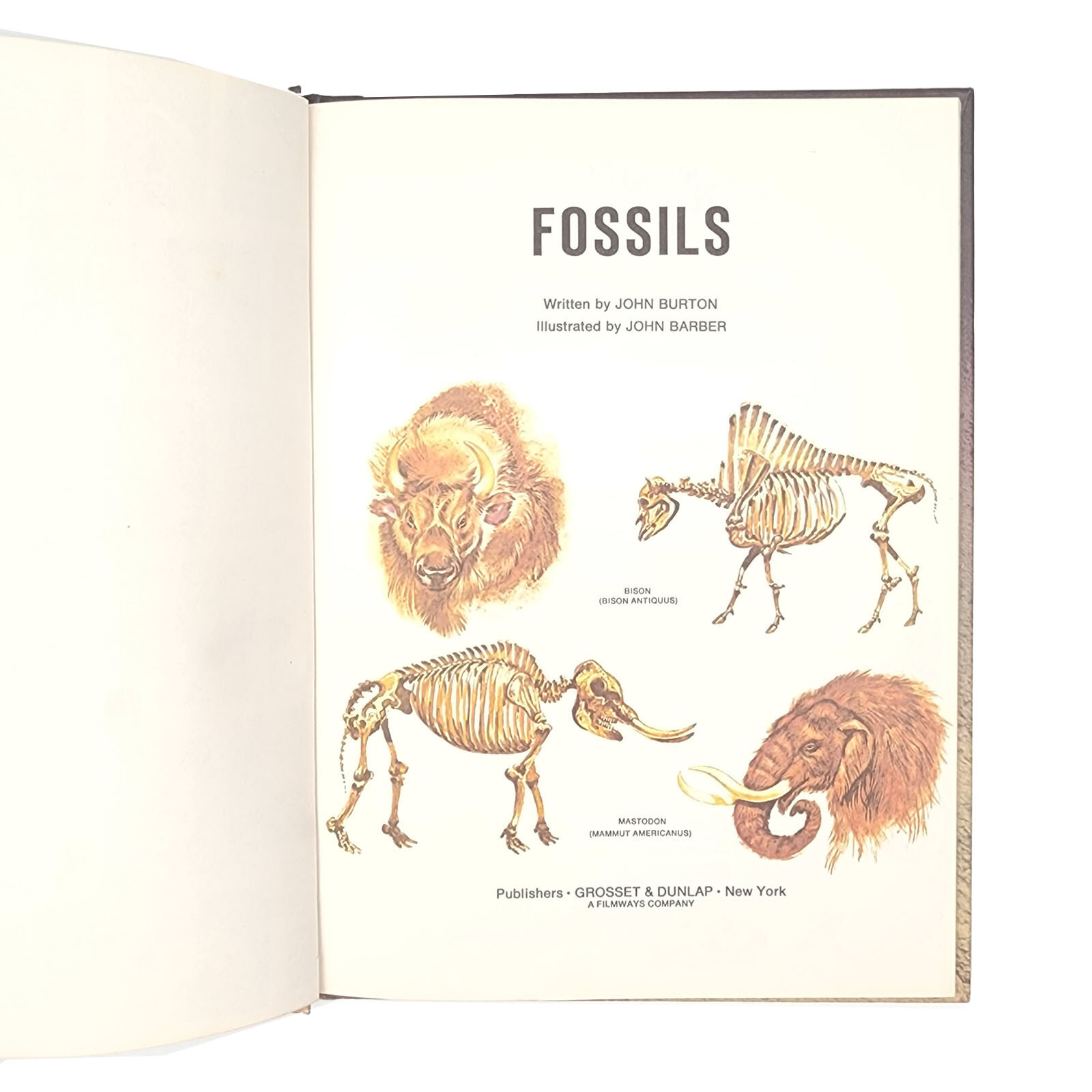Fossils John Burton Hardcover Book Illustrated John Barber Grosset & Dunlap 1976