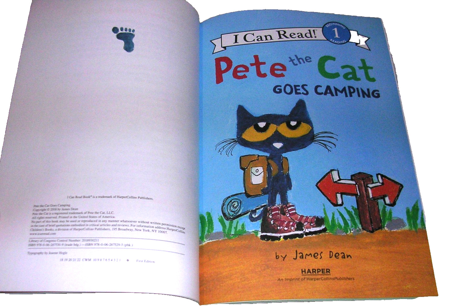 Beginning Reader Book Lot Pete the Cat Pug Sleepy Dog Down by the Bay 4 Books