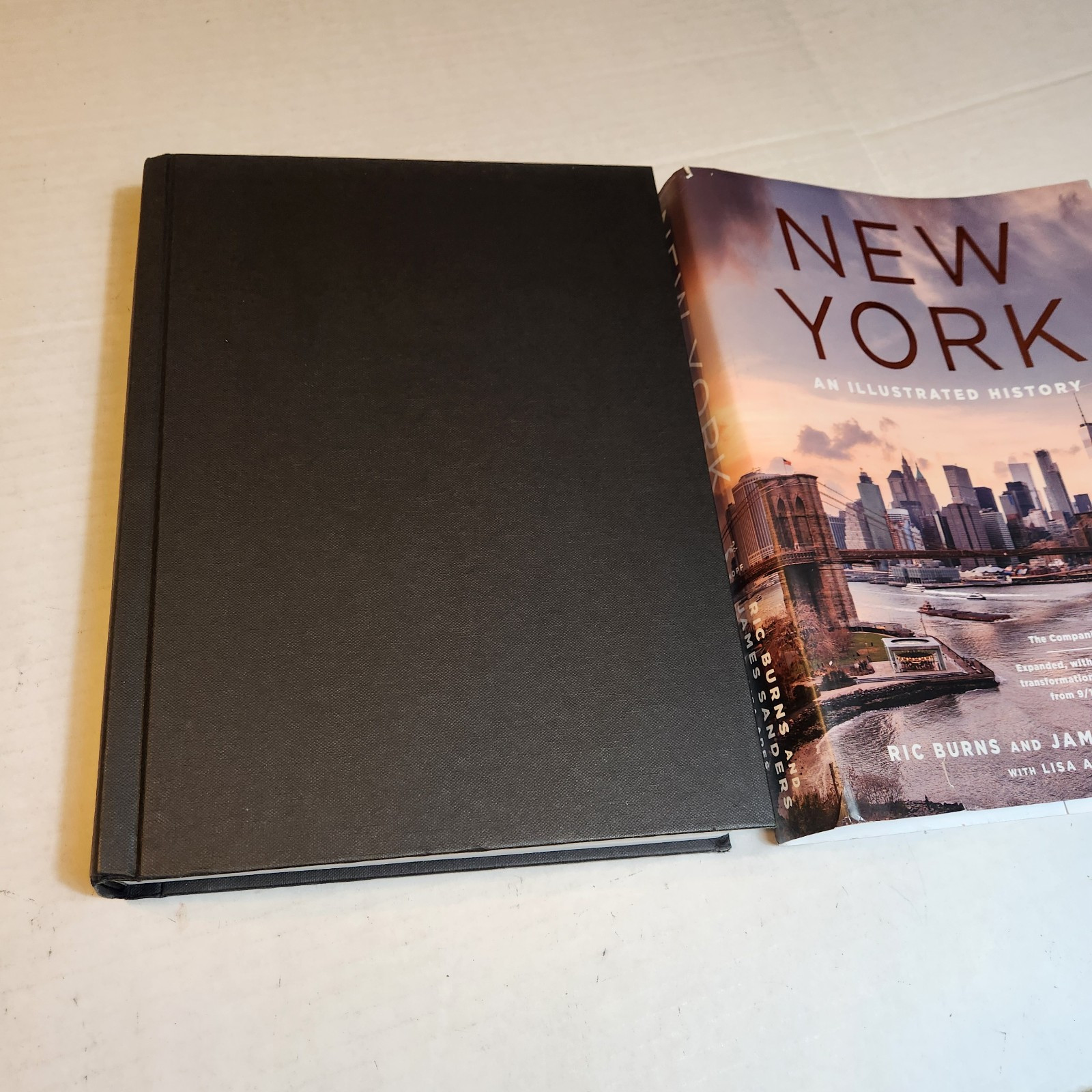 New York: An Illustrated History Hardcover