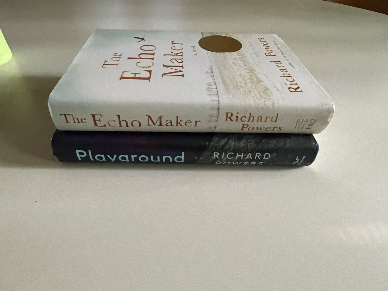 Richard Powers 2 Book Lot Echo Maker (1st 3rd), Playground (1st 1st Print) HC DJ