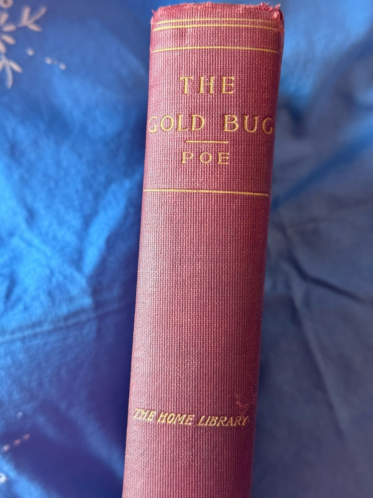 Vintage Gold Bug Book