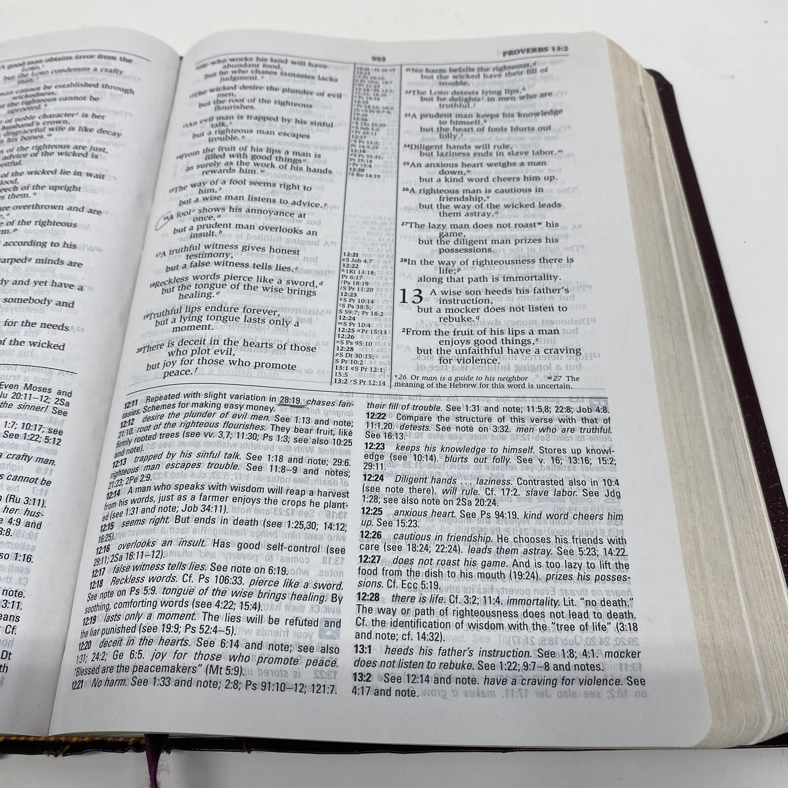 NIV Study Bible 10th Anniversary Edition Burgundy Leather Red Letter Used