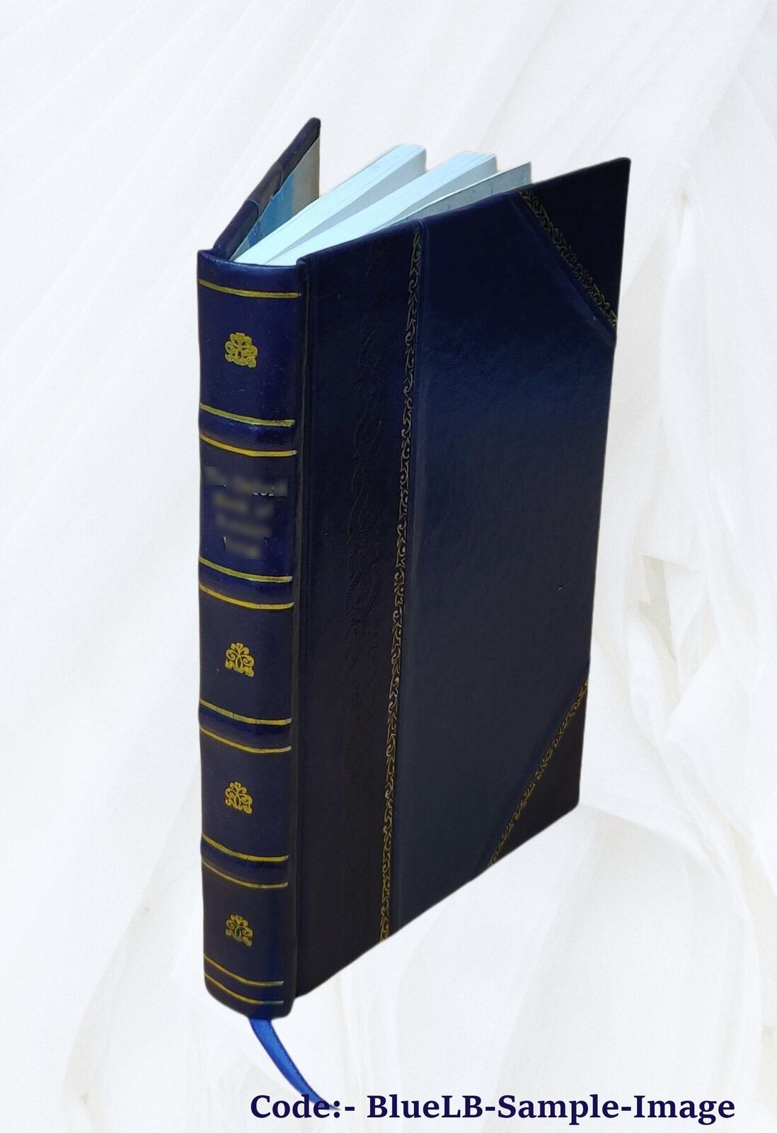 The Geographical Journal. V.53 No.1-6 1919. Volume 53,No.1-6 191 [Leather Bound]
