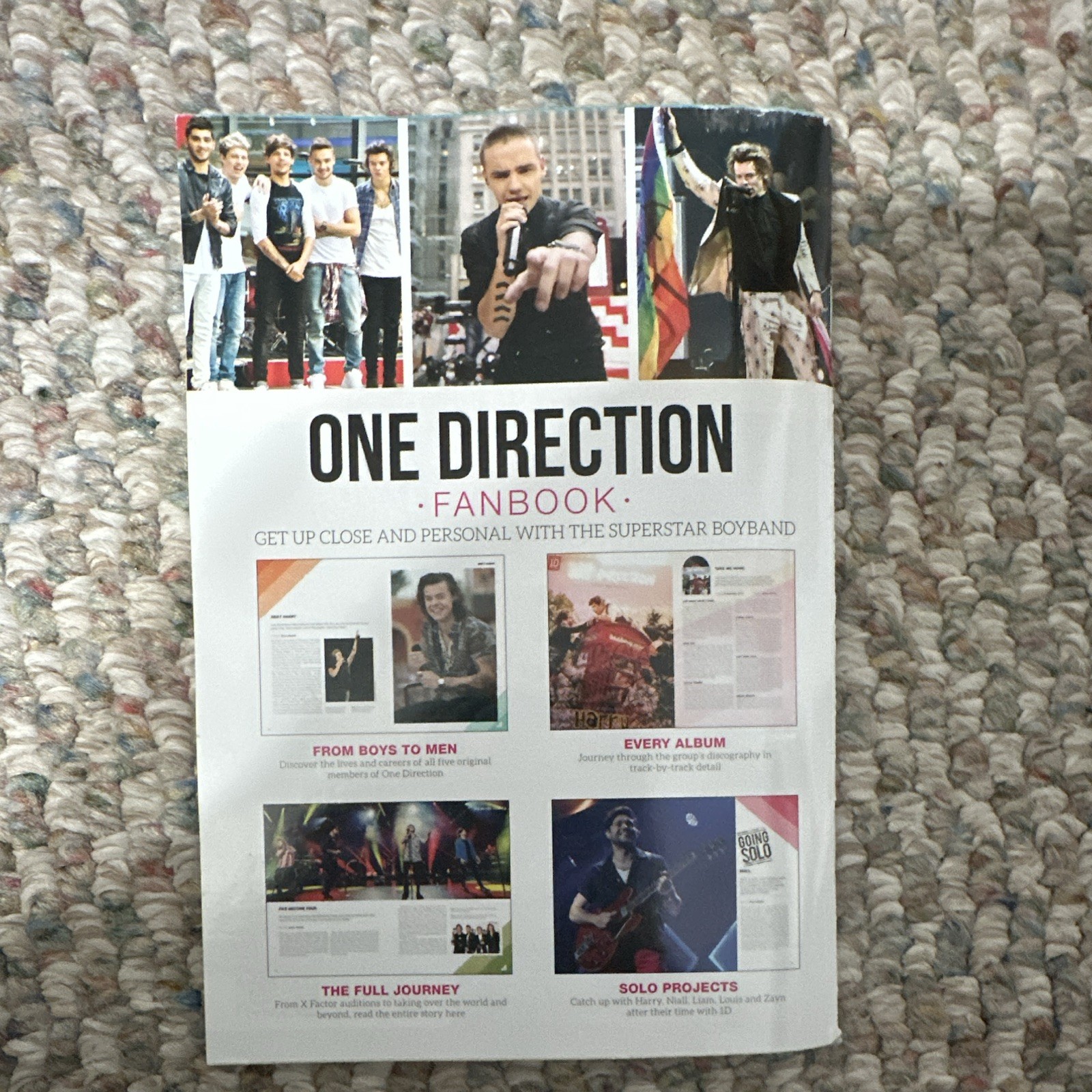a360media Specials One Direction Fanbook Illustrated (2023, Paperback)