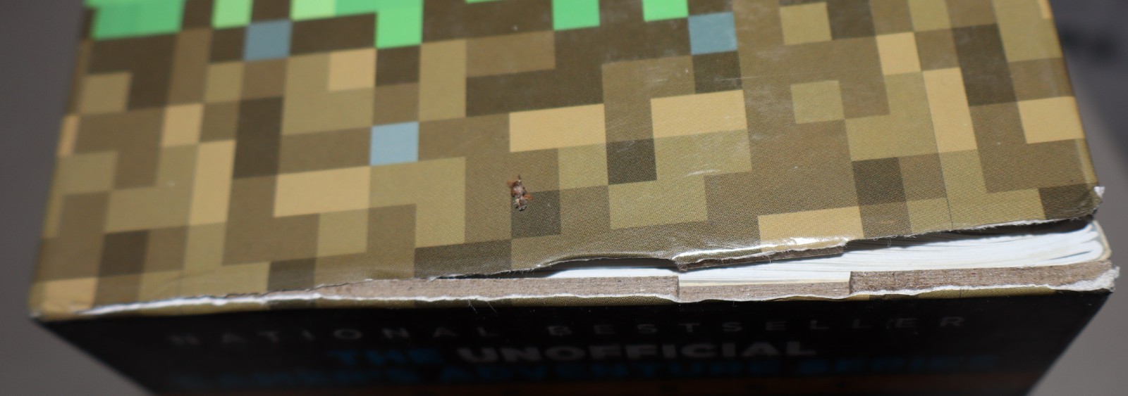 Lot of Minecraft 29 Books Sets & Singles + 2 Toys