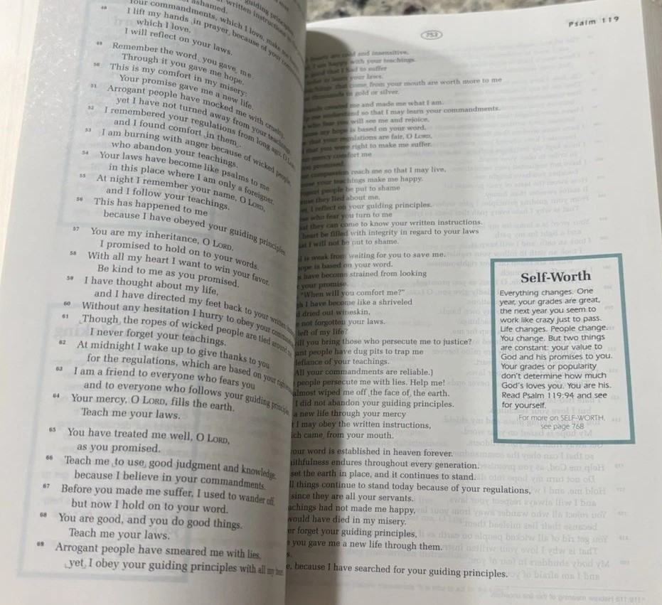 God’s Word For Students Bible Wayne Rice Series 365 Daily Devotions Teens/Youth