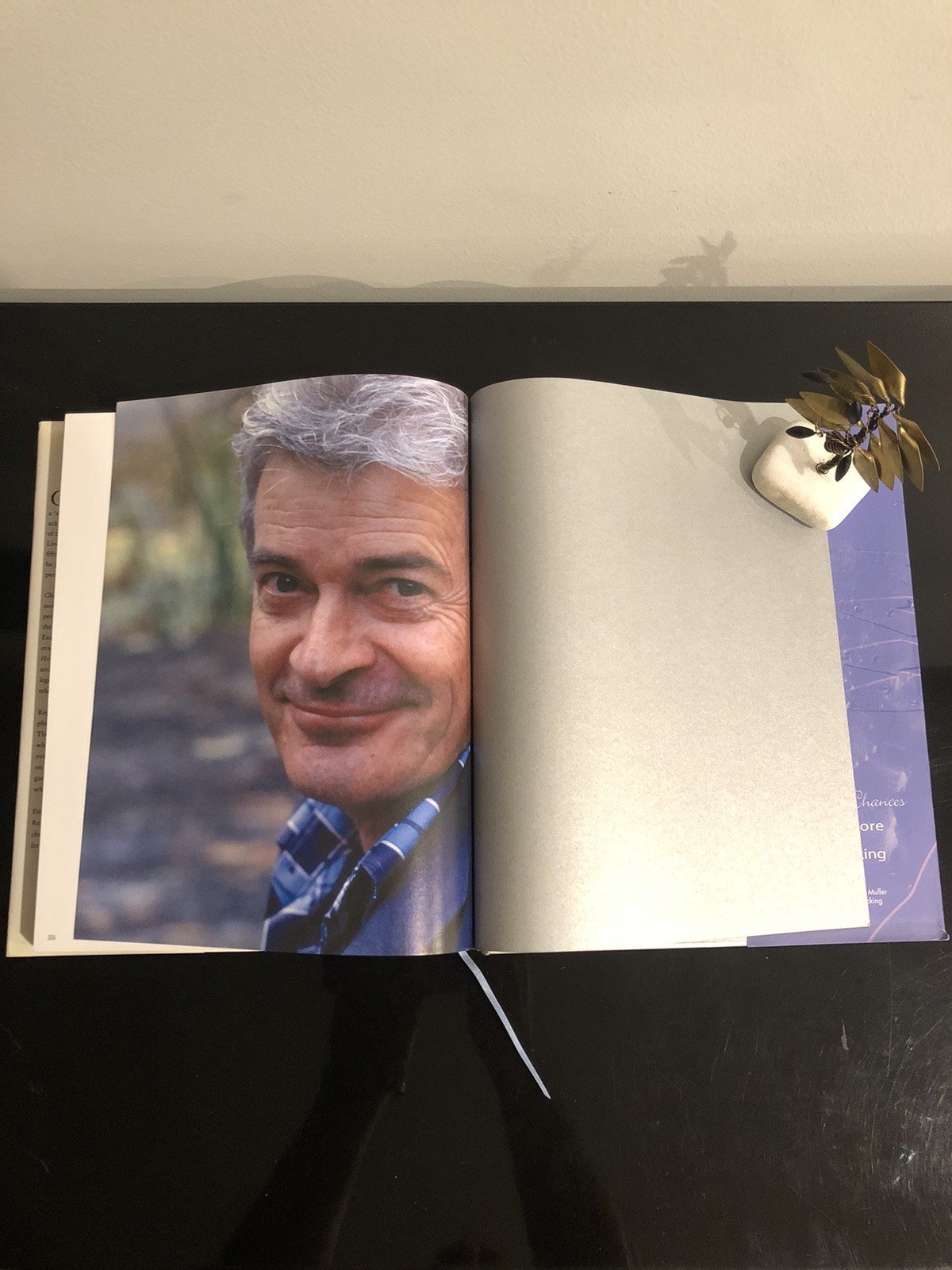 Reg Livermore Chapters And Chances H G B 2003 First Ed/F.Print HC DJ LN 🇦🇺🎭