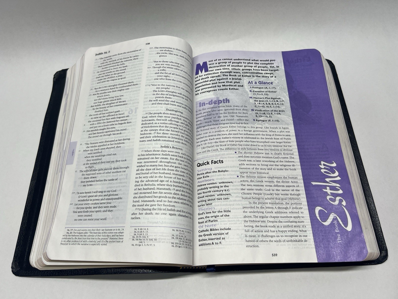 The Catholic Youth Bible Revised (2005)