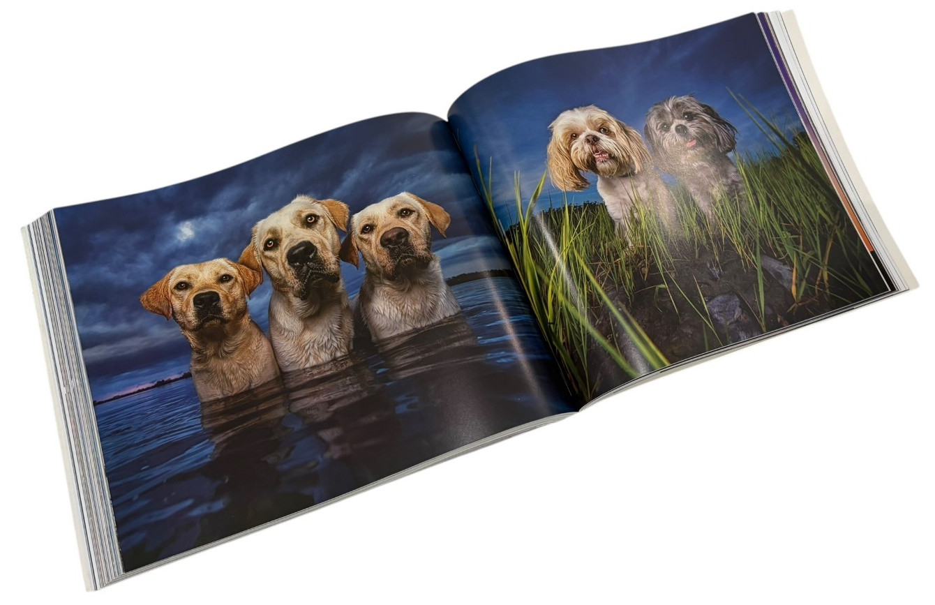 Dogtography Kaylee Greer Dog Photography Guide Rocky Nook Photo Book PB
