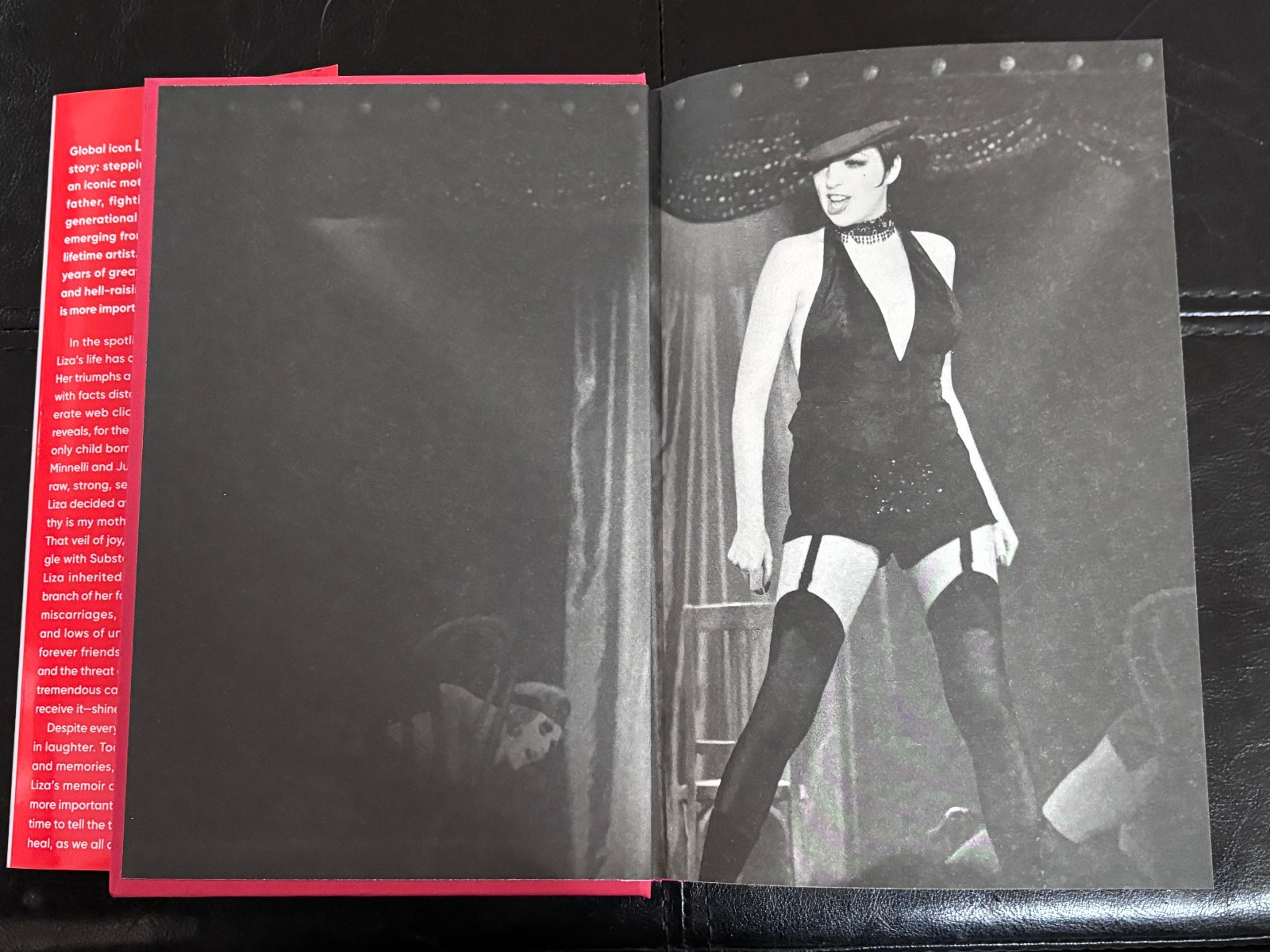 Kids, Wait till You Hear This! by Liza Minnelli (2026, Hardcover)