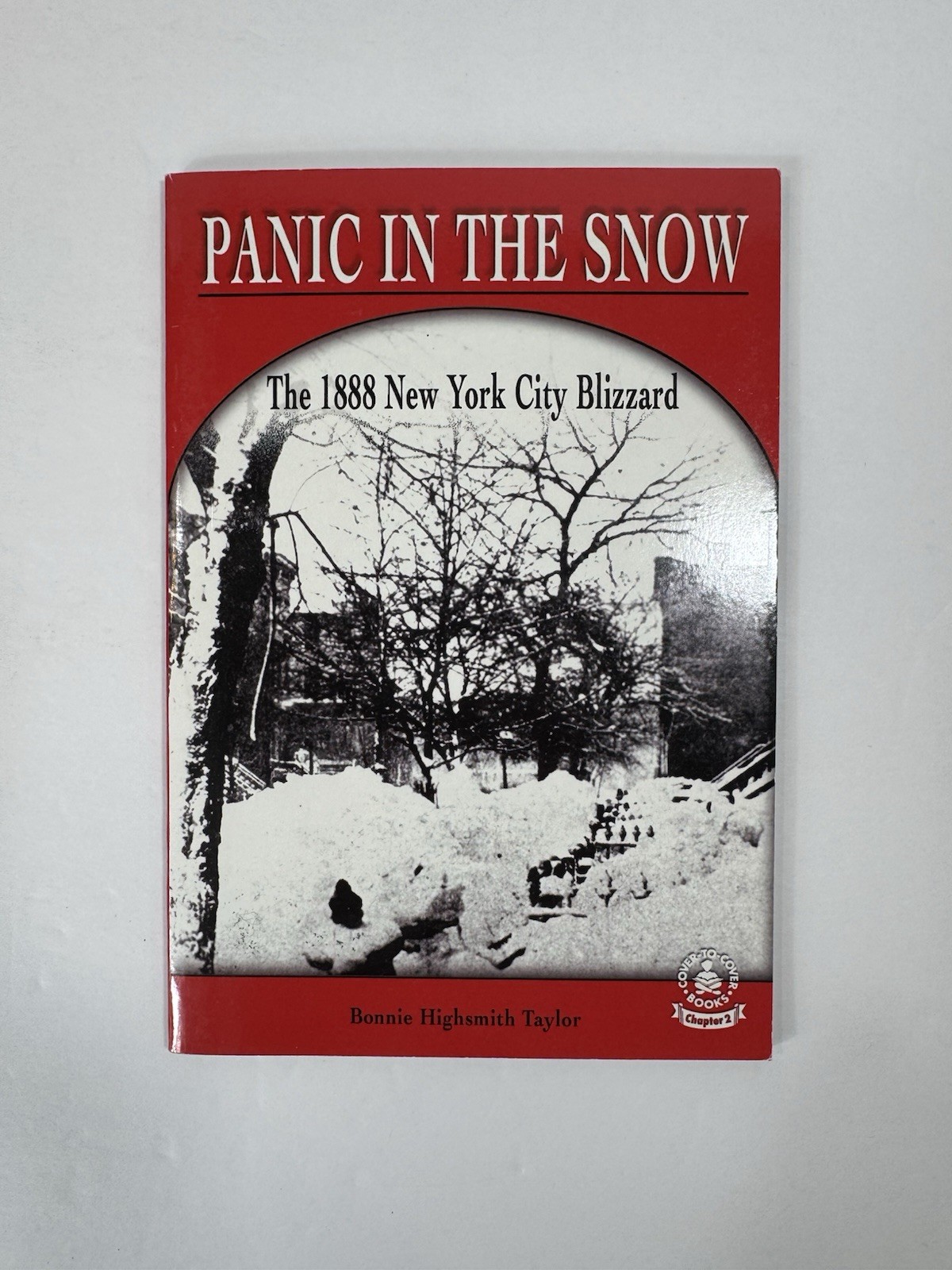 Panic in the Snow The 1888 New York City Blizzard