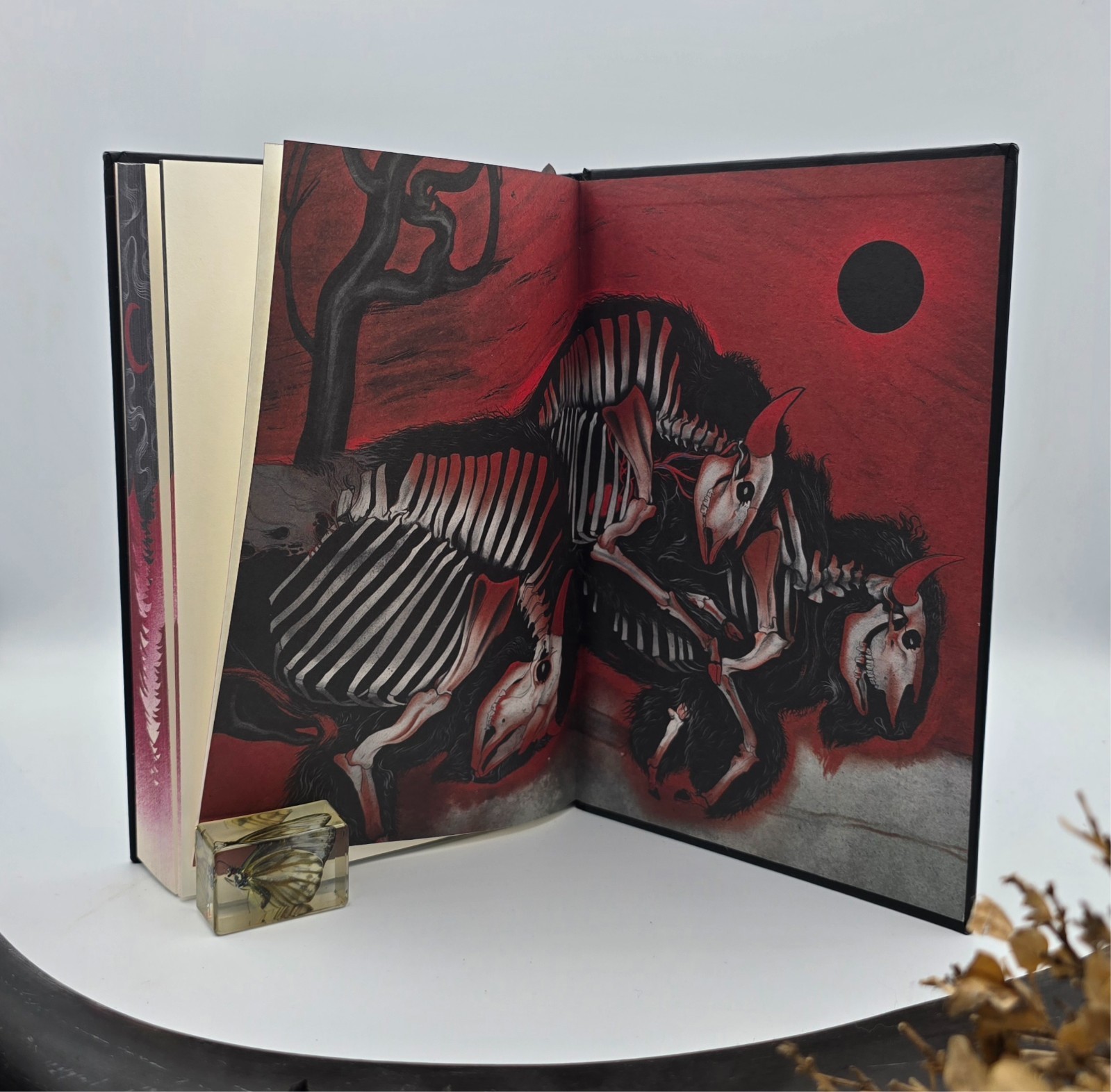 Buffalo Hunter Hunter | Stephen Graham Jones | SIGNED OwlCrate Hardcover
