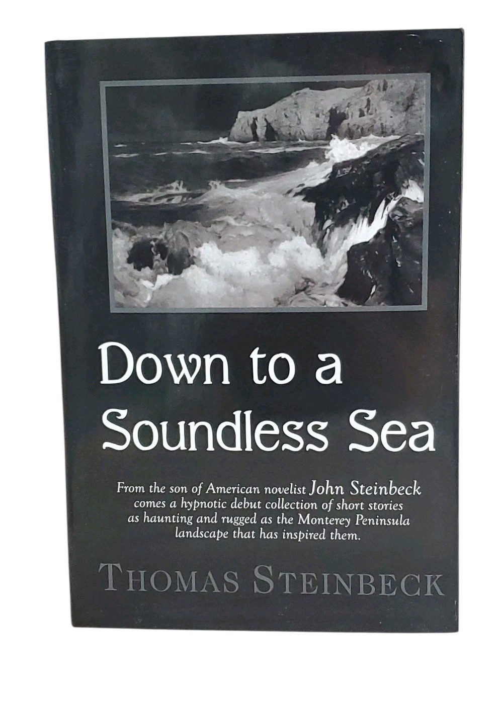 Down to a Soundless Sea : Stories by Thomas Steinbeck LARGE PRINT