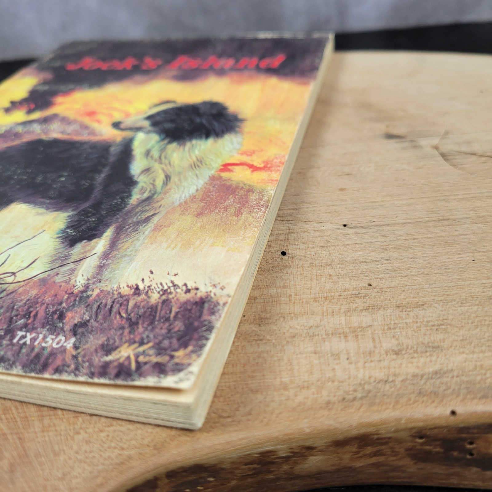 Jock’s Island By Elizabeth Coatsworth TX 1504 Scholastic SBS 1963 Vintage PB