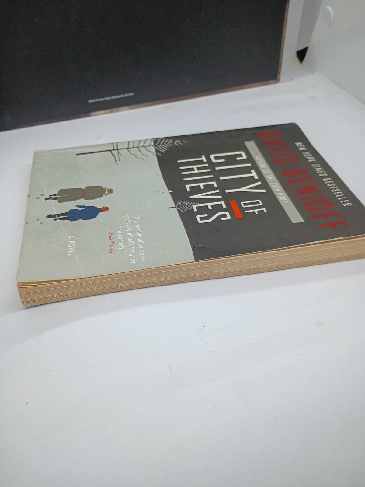 City of Thieves: A Novel by David Benioff (English) Paperback