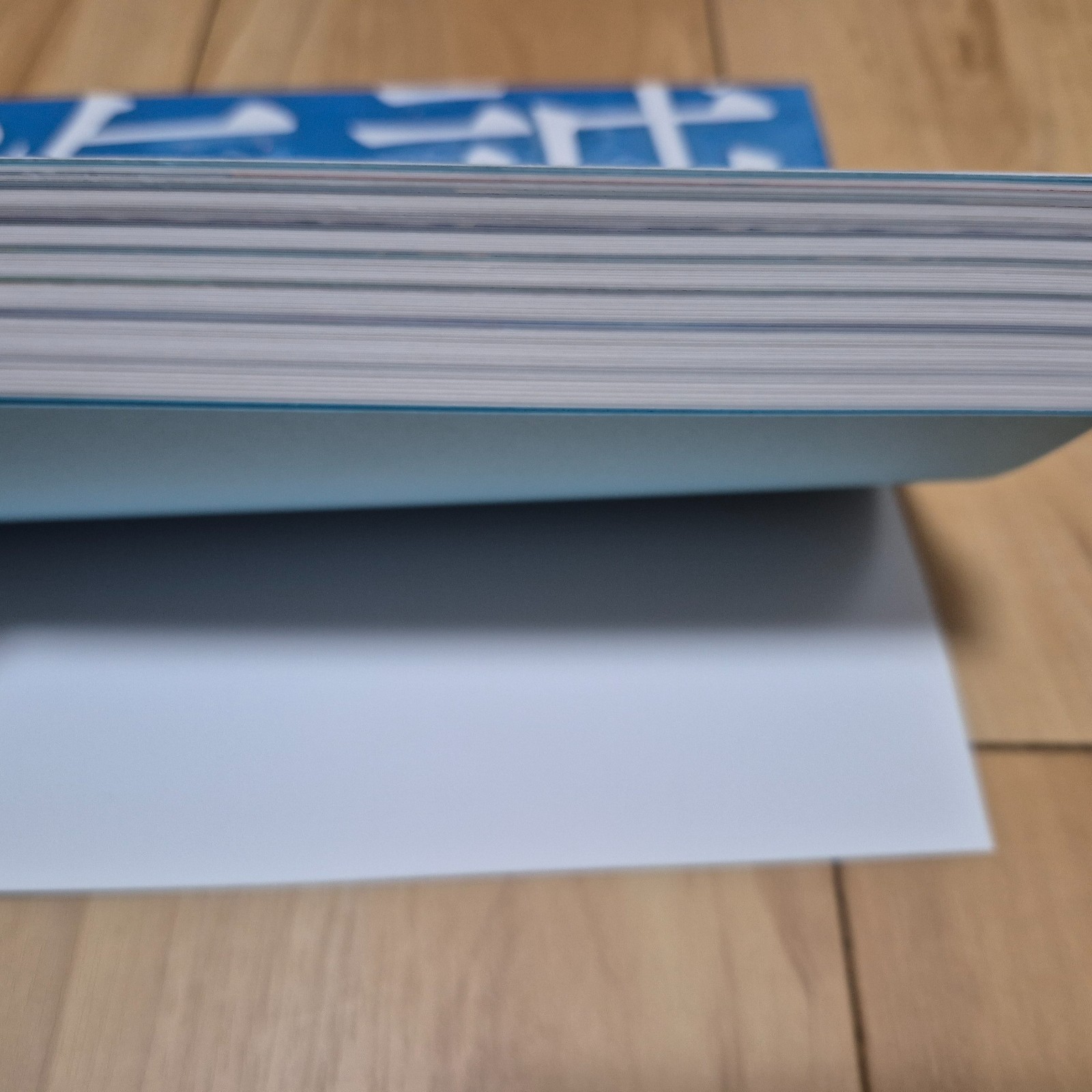 Makoto Shinkai Exhibition – Animation Production Feature Book Shinkai Makoto