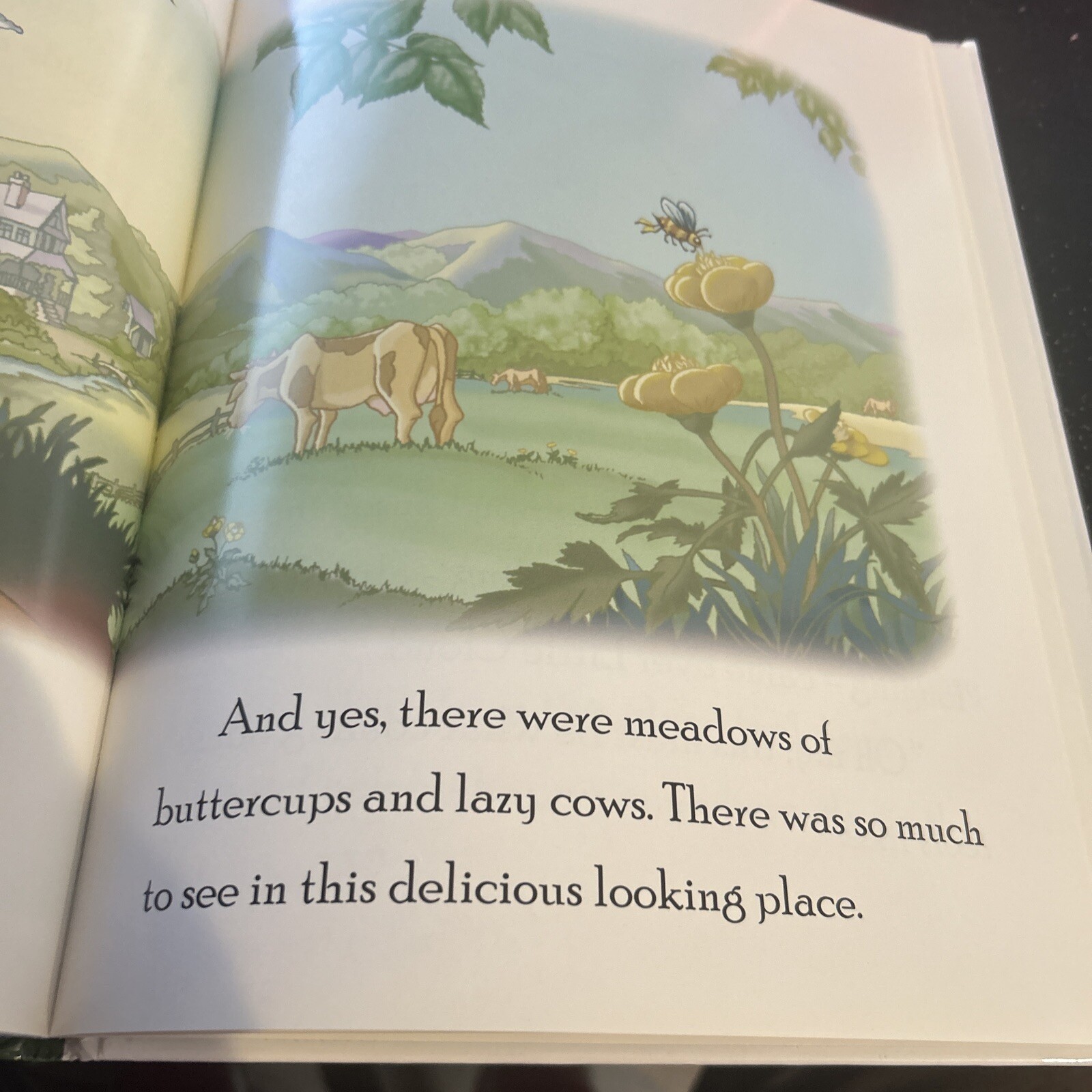 The Wind and Little Cloud by Hancock, Susan G. HC Edition 2006