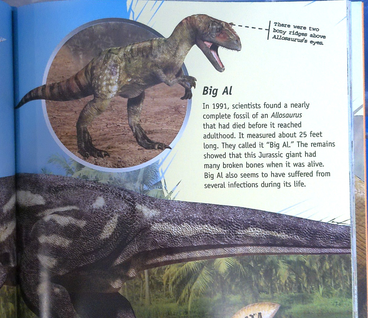 The Complete Guide to Dinosaurs by Robert Bakker HB