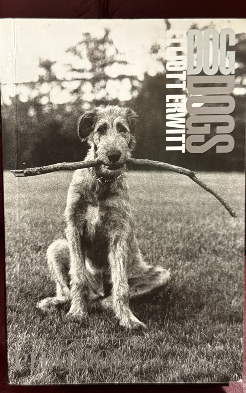 DOGDOGS ~ Elliott Erwitt PHAIDON Photography Book 7.25 x 4.75 x 1.25 LIKE NEW