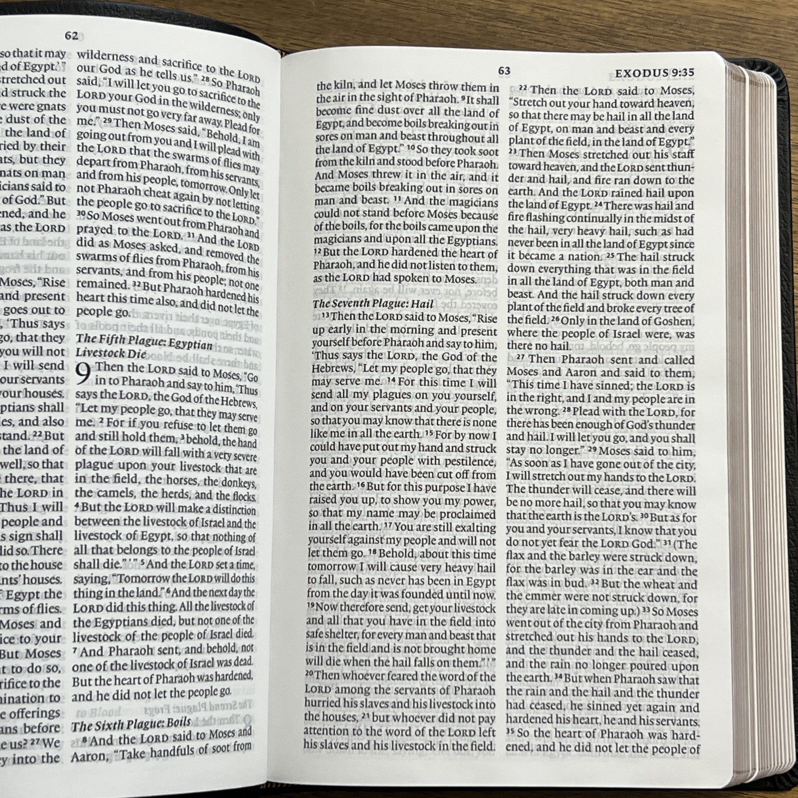 ESV Large Print Thinline Bible (Black Genuine Leather)