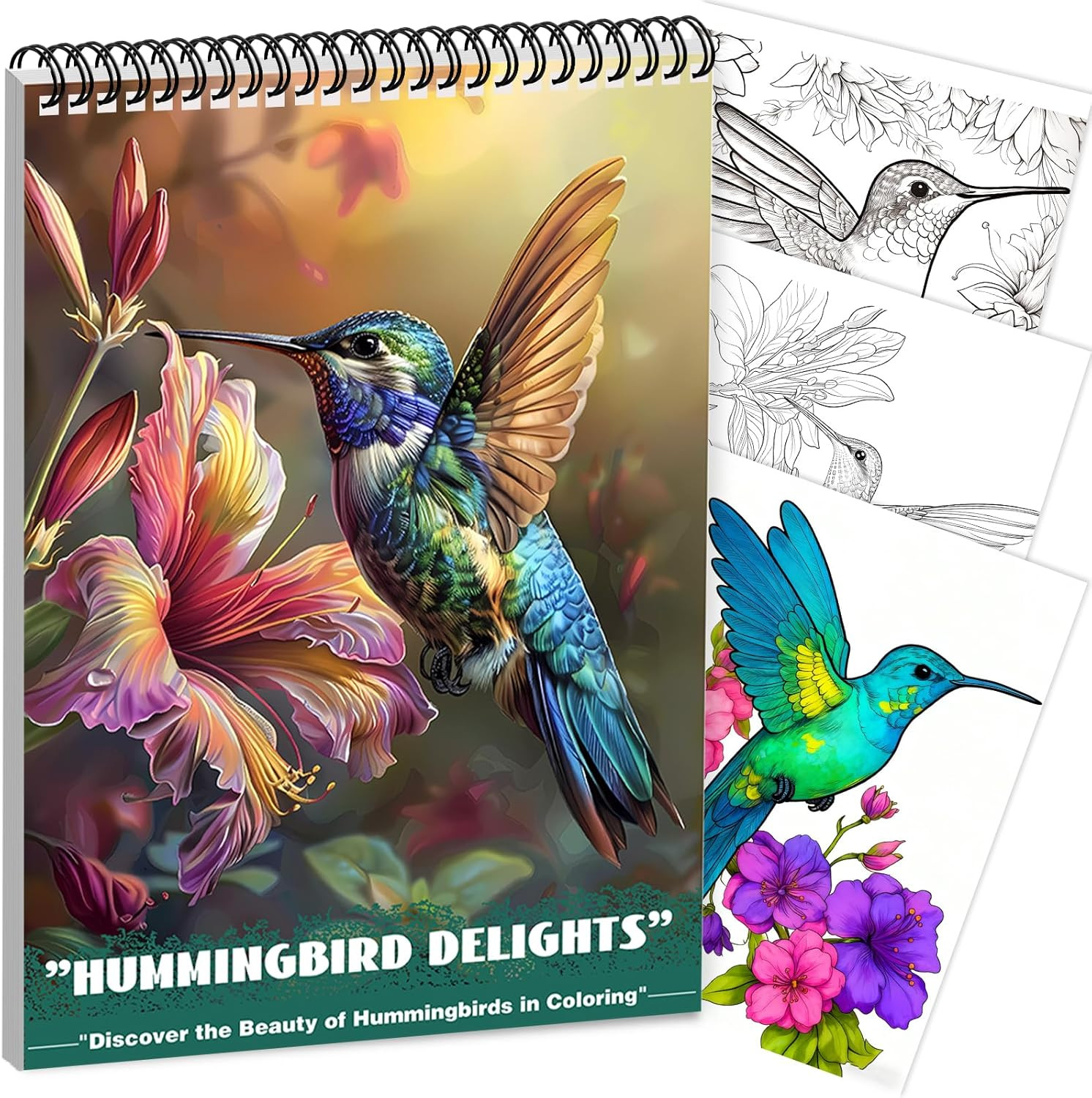 Humming Bird Adult Coloring Book Spiral Bound Mindfulness Adult Coloring Book…