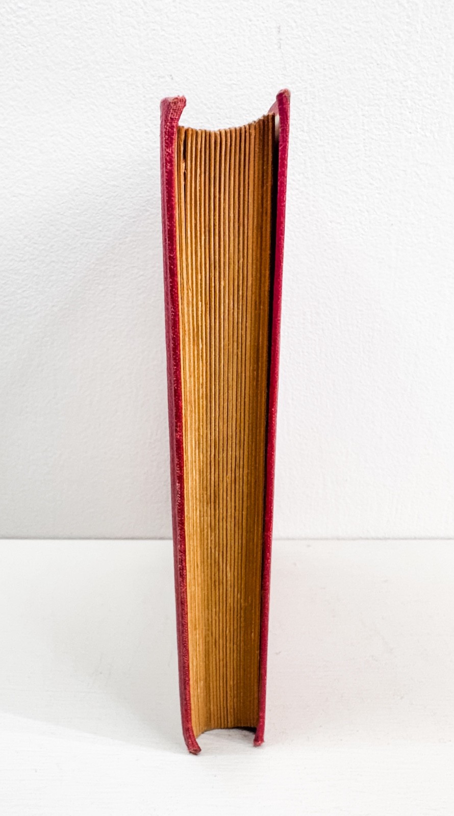 Les Vacances – Comtesse de Ségur Antique French Illustrated Children’s Book 1929