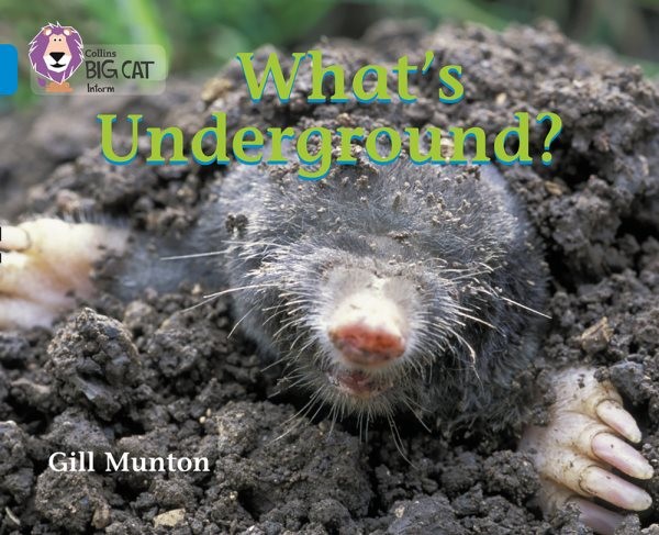 What’s Underground : Band 04/Blue, Paperback by Munton, Gill; Bull, Peter (IL…