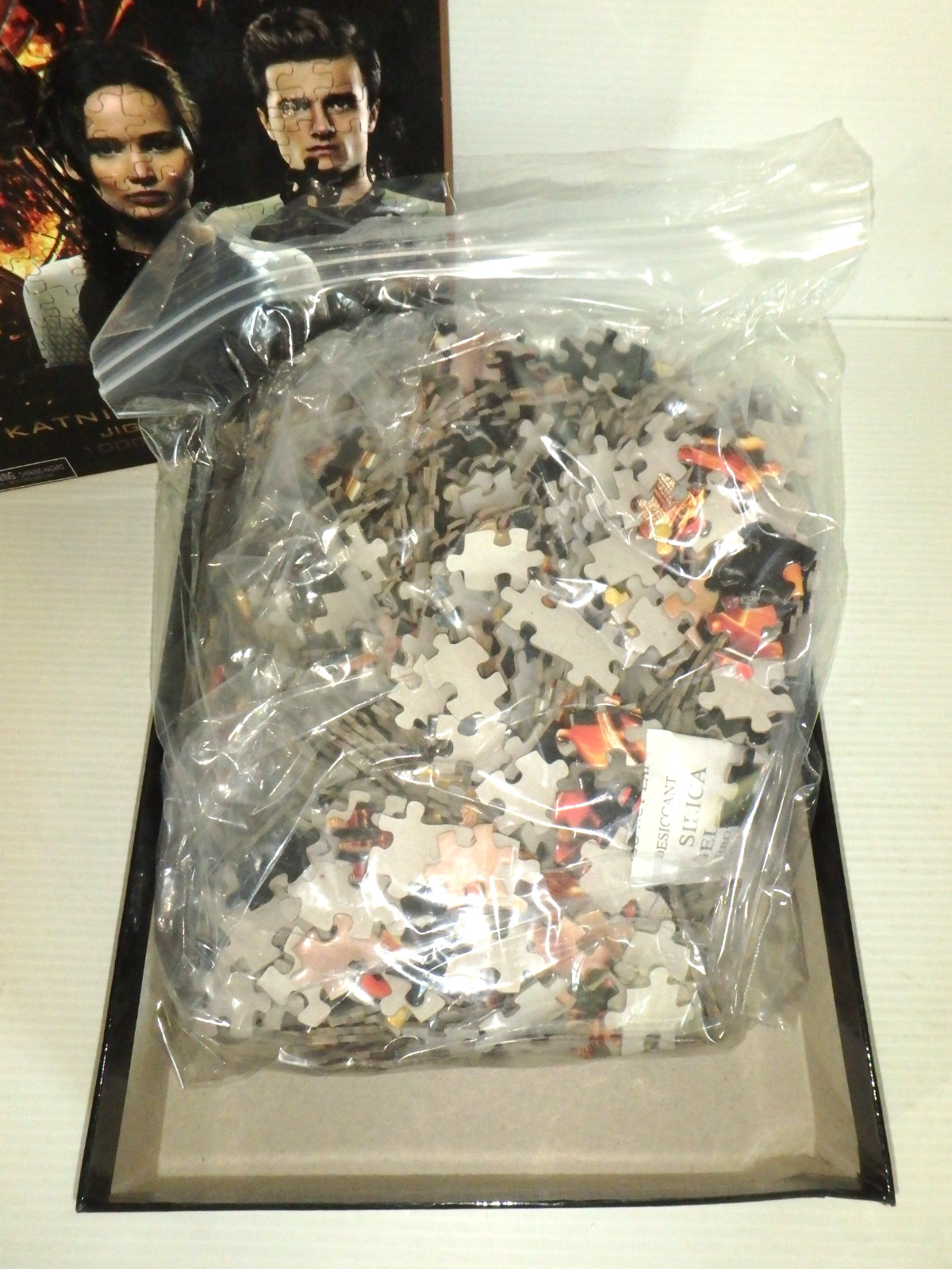 Hunger Games Trilogy + 1 Suzanne Collins & 1000 pc Puzzle (LN) HB w/DJ – 1st