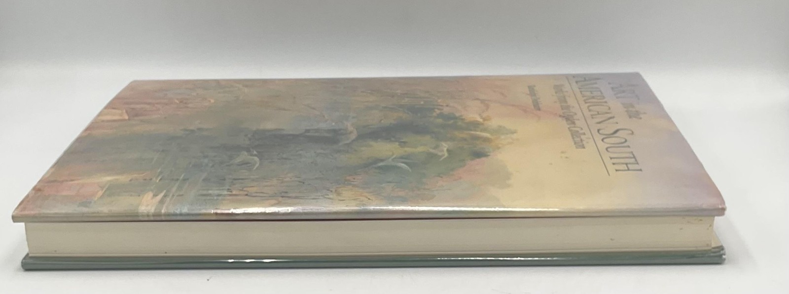 Art In The American South Randolph Delehanty 1996 Green HC Korea