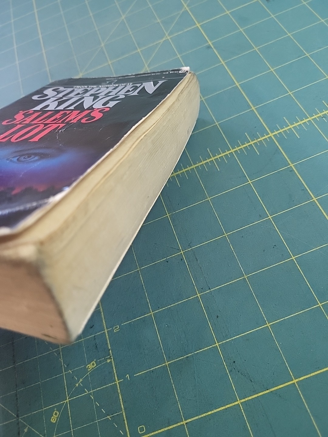Stephen King ‘SALEM’S LOT – Signet Paperback – 1976 Horror Vintage Vampires