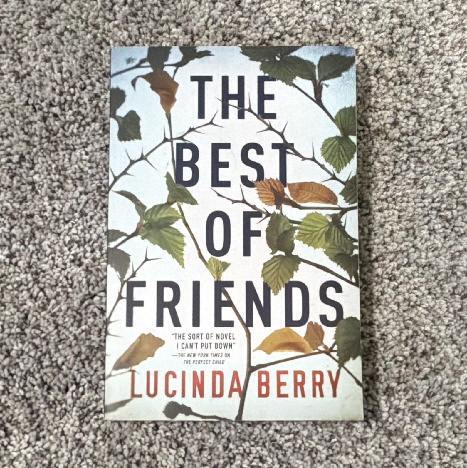 The Best of Friends by Lucinda Berry Paperback Fiction Novel Adult Friendship