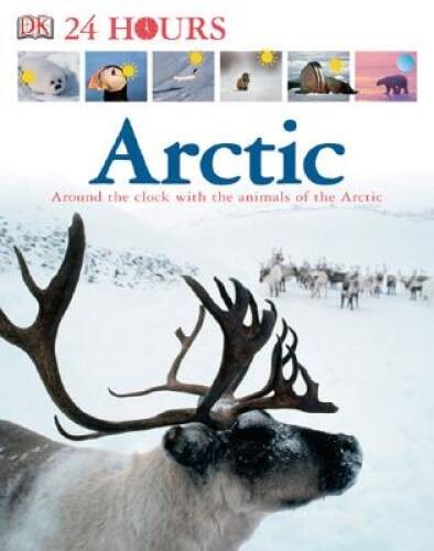 DK 24 Hours: Arctic – Hardcover By DK Publishing – GOOD