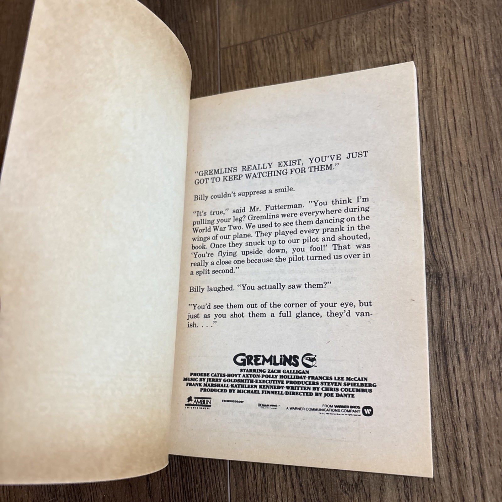 GREMLINS – 1984 – First Edition First Print Movie Tie-in Vintage Paperback