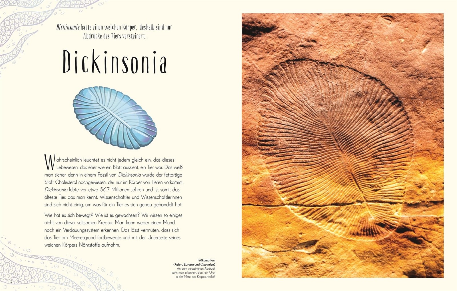 Anusuya Chinsamy-Turan / Wundervolle Welt der Dinosaurier und …9783831045037