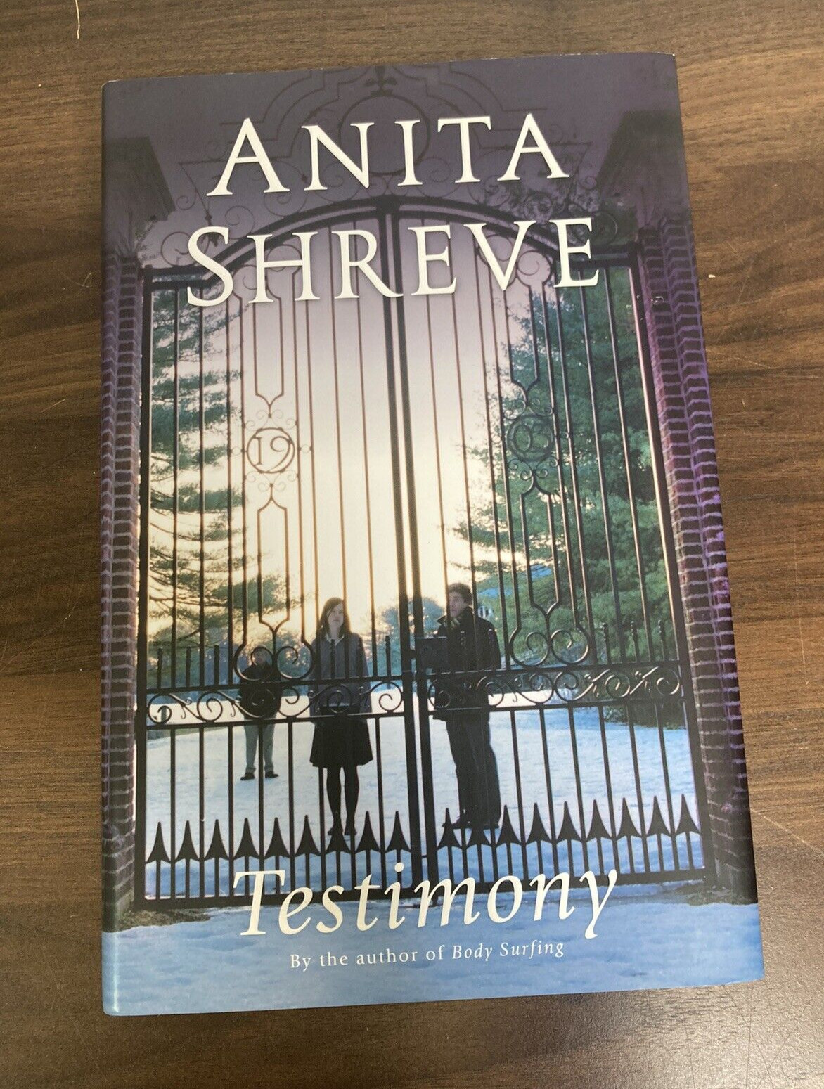 Anita Shreve Testimony