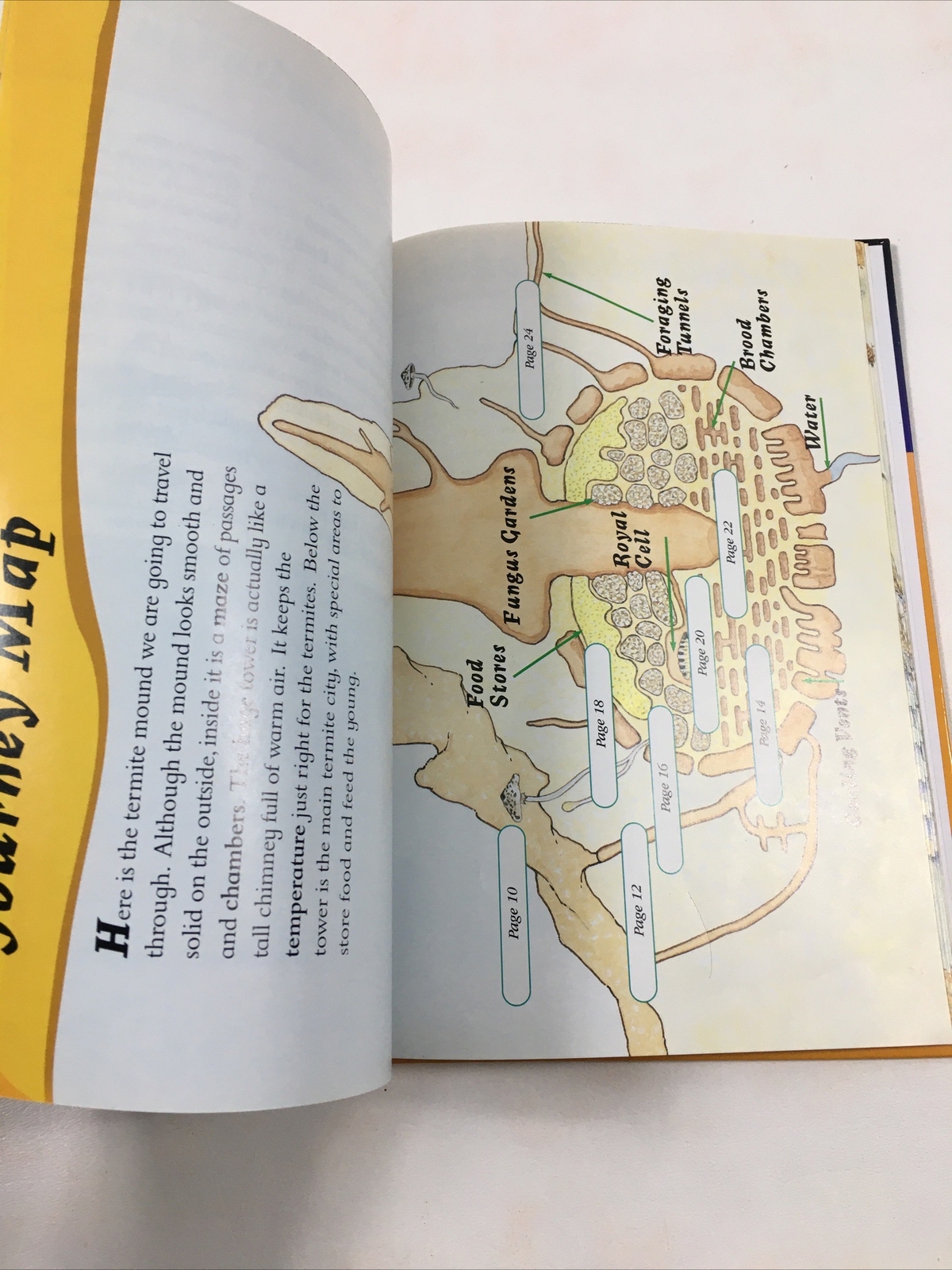 Through a Termite City – Carole Telford (Hardcover, 1998) Amazing Journeys Ser.