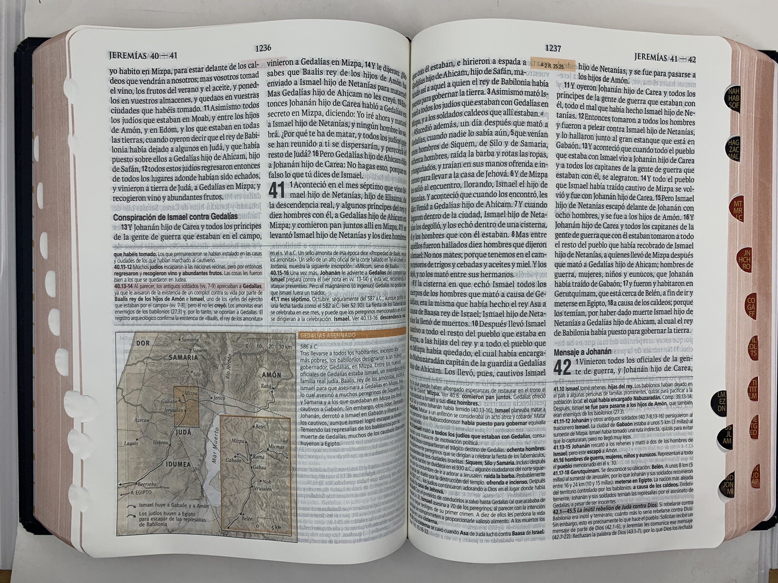 BIBLIA DE ESTUDIO TEOLOGICO TAPA DURA CON INDEX REINA VALERA 1960