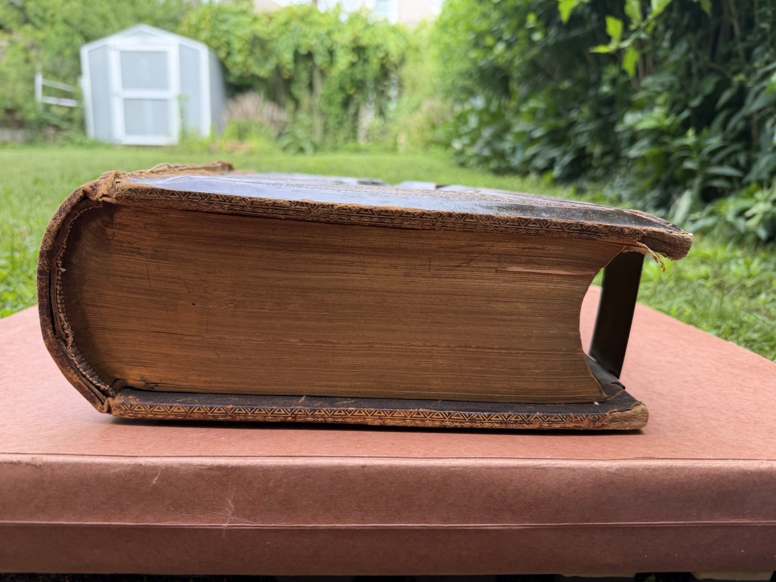 Victorian Holy Bible 1881 FM Dillie Co Cincinnati OH Pictorial Family RARE HEAVY