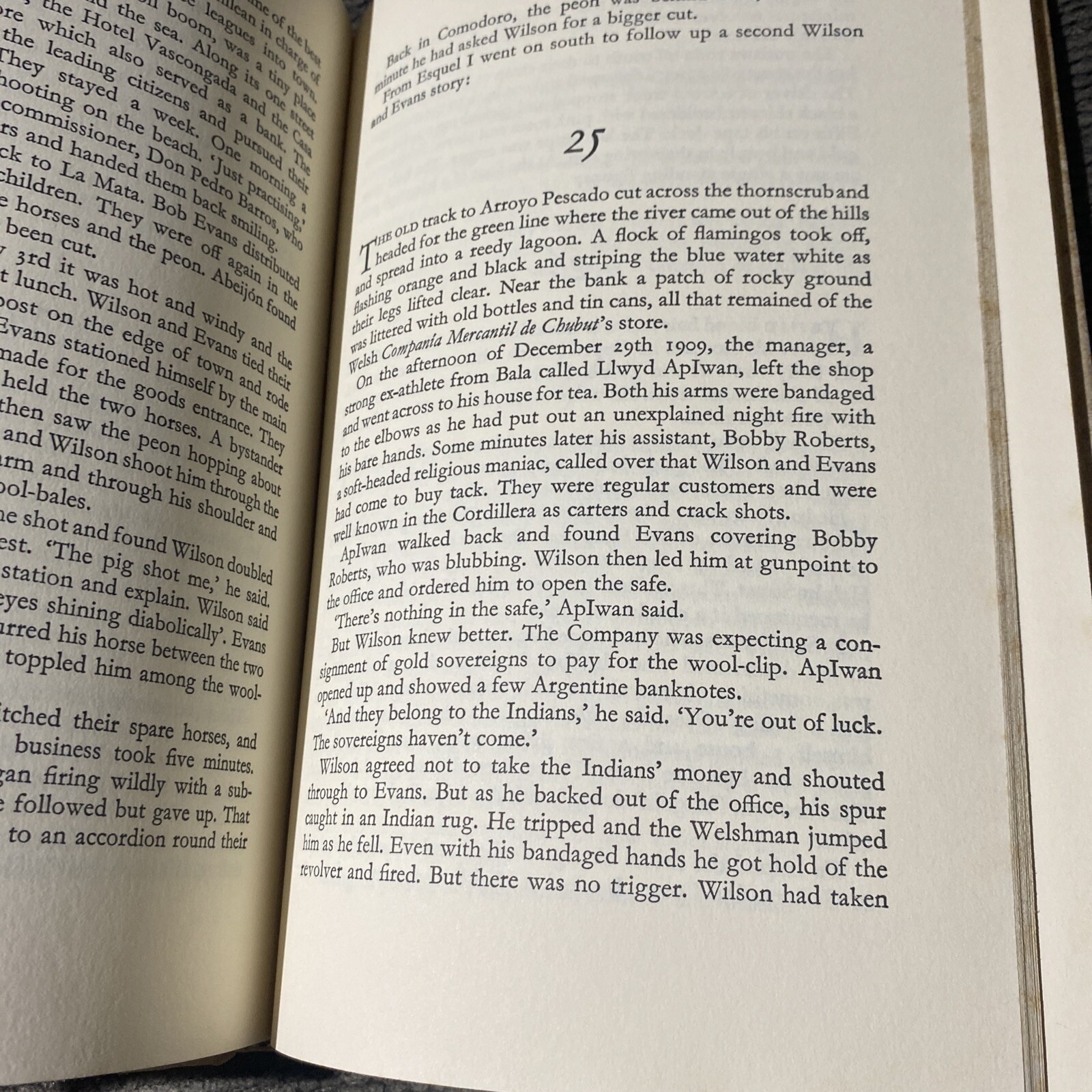 In Patagonia by Bruce Chatwin – First US Edition – Spine Cracked